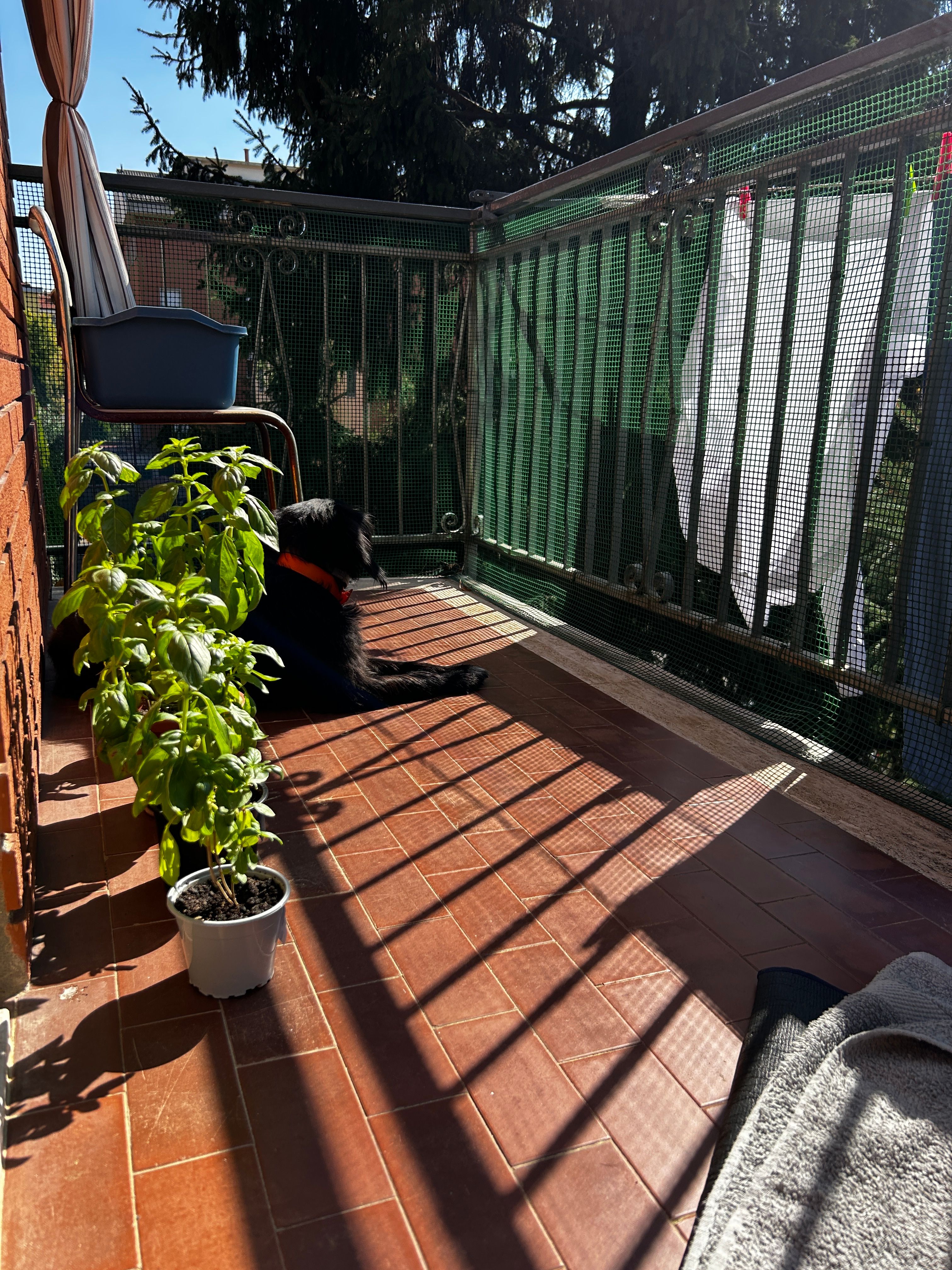 image-12