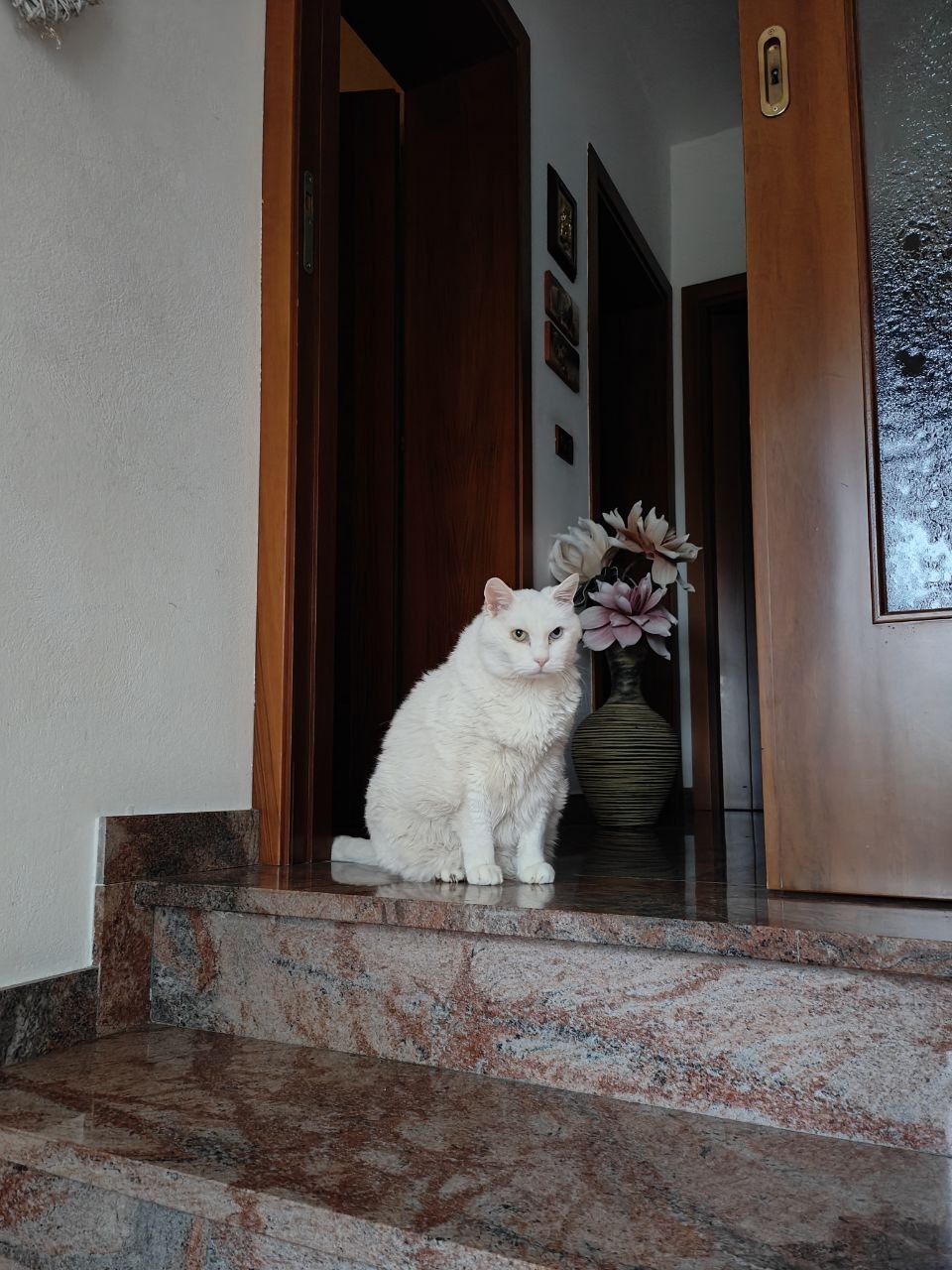 image-6
