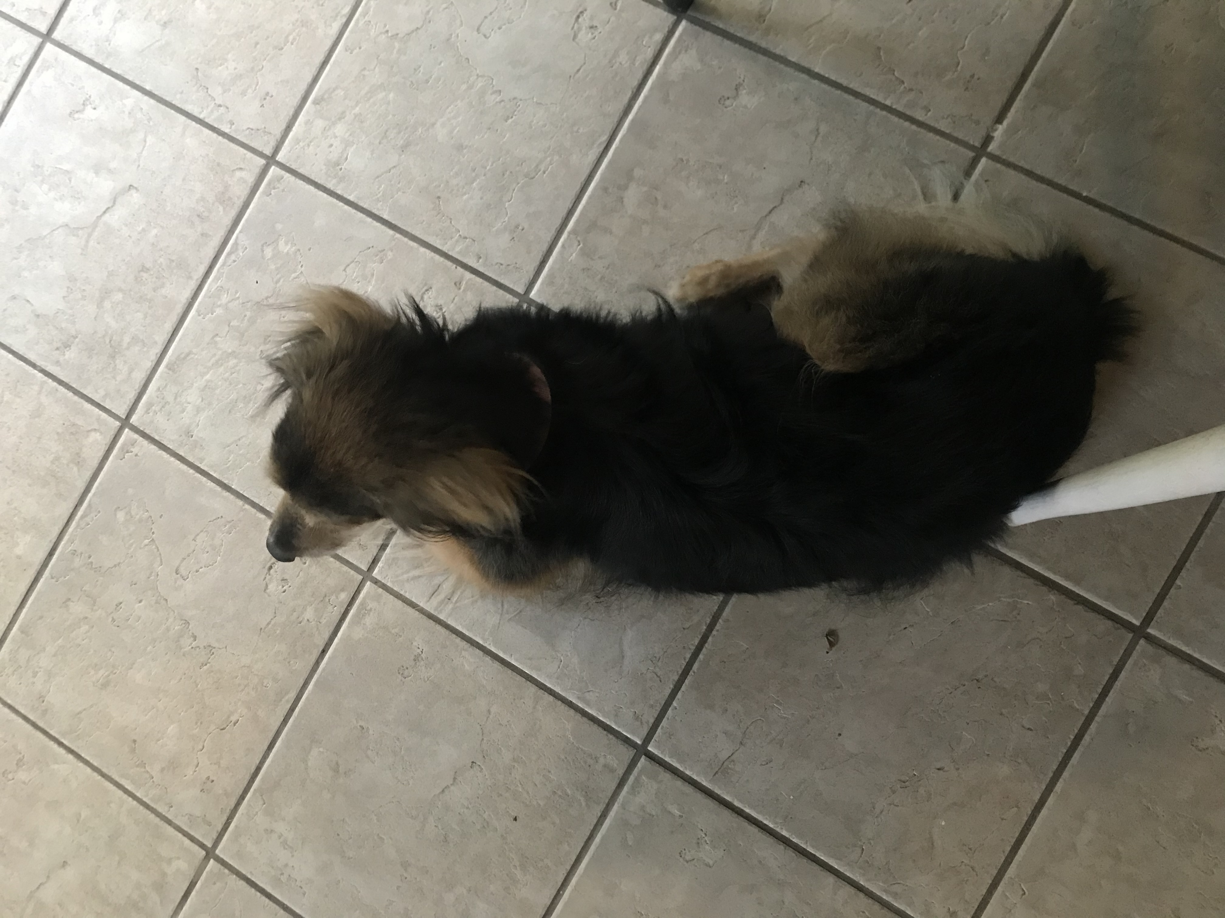 image-10