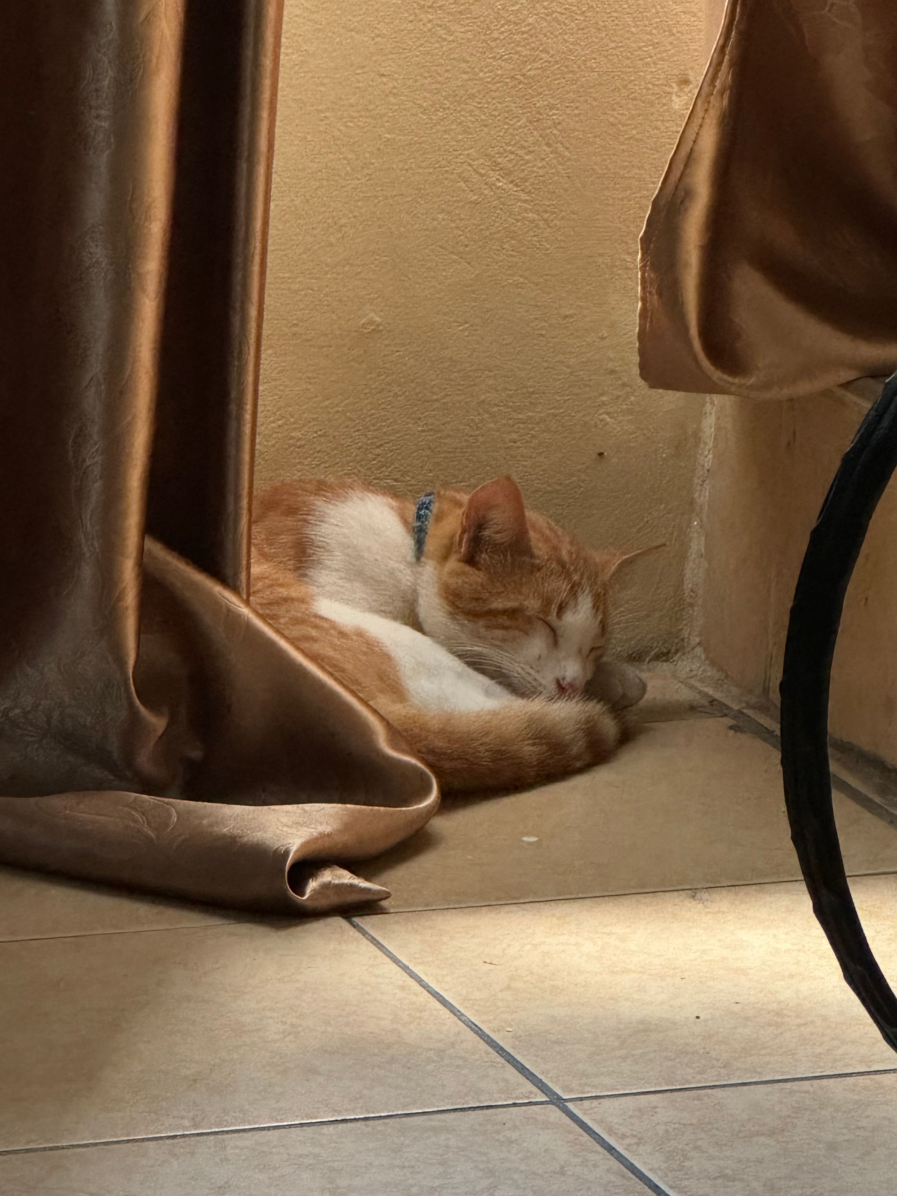 image-7