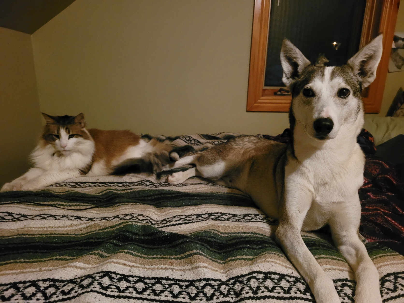 image-6