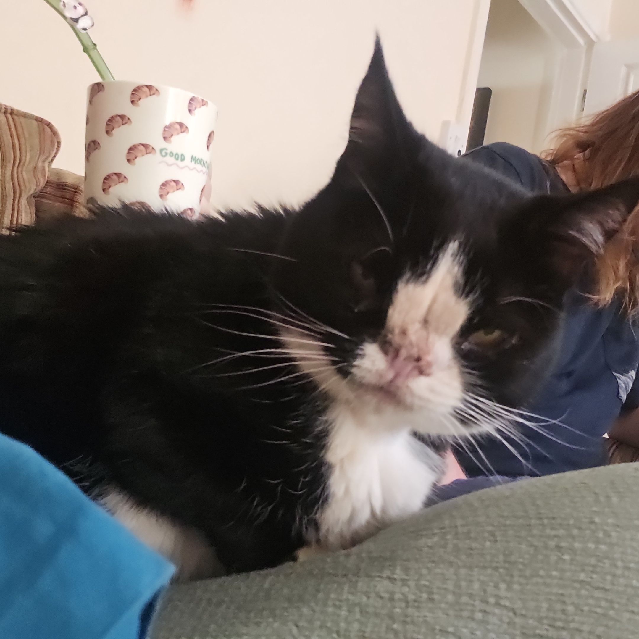 Hugo