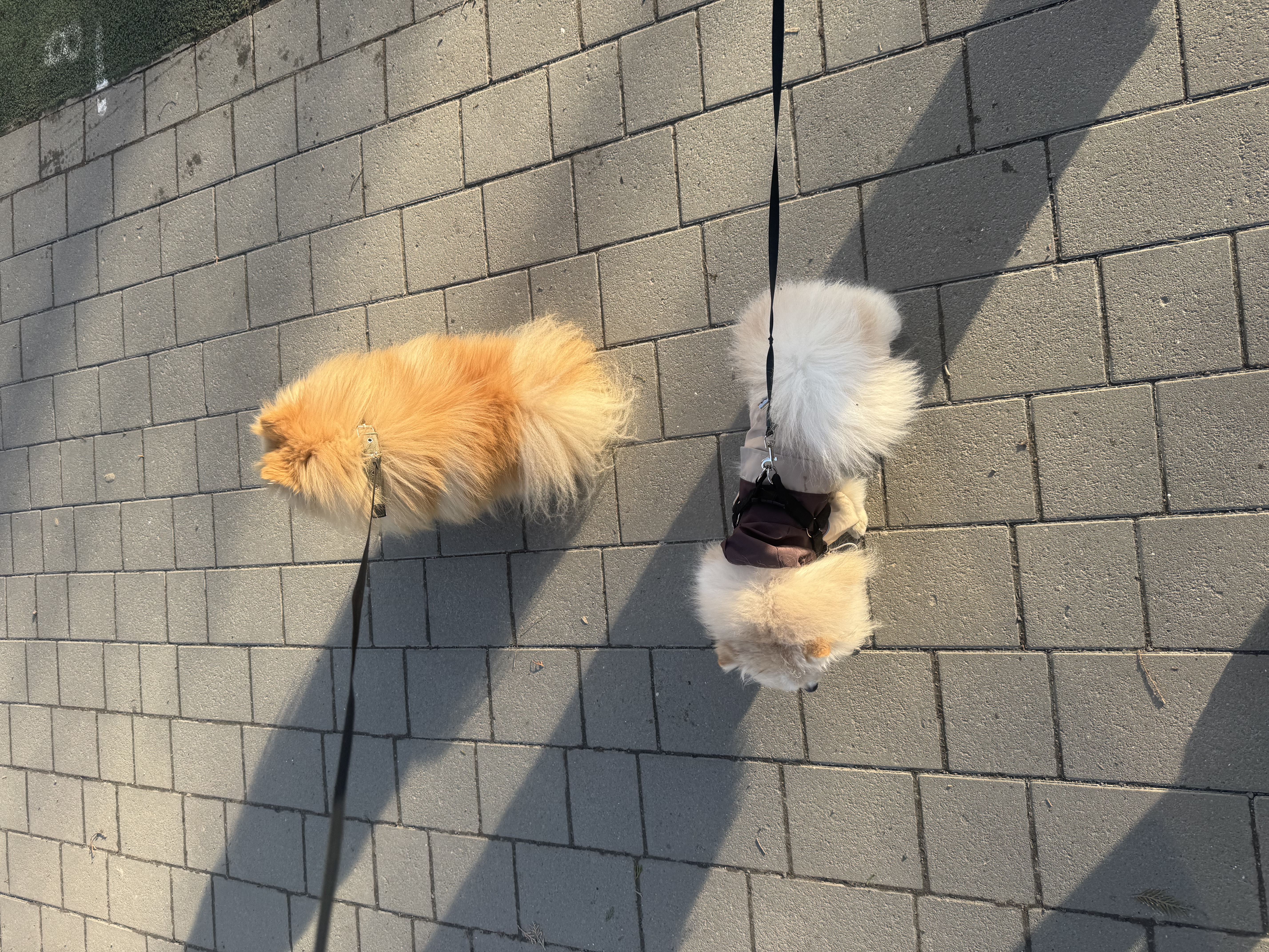image-26