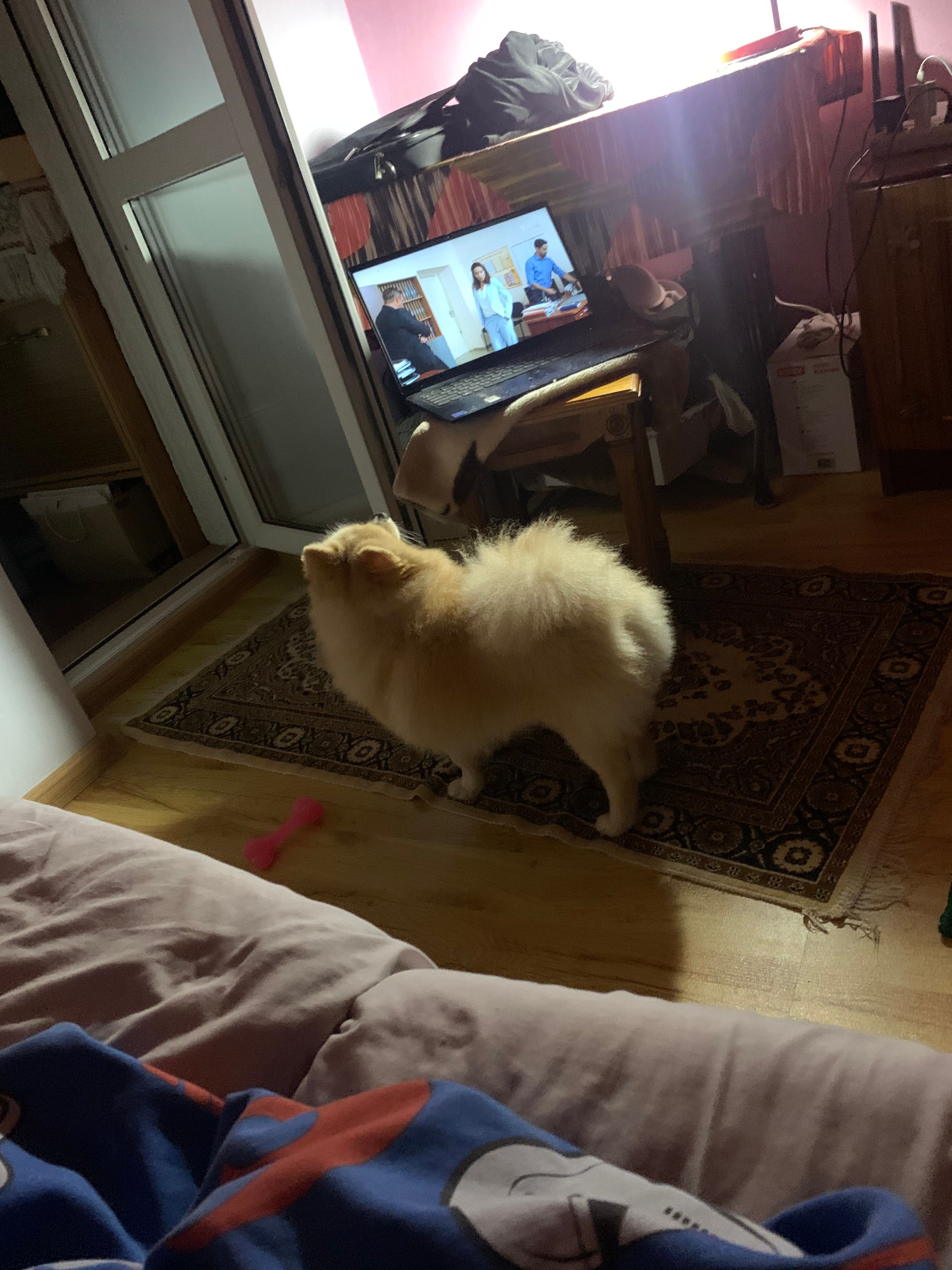 image-41