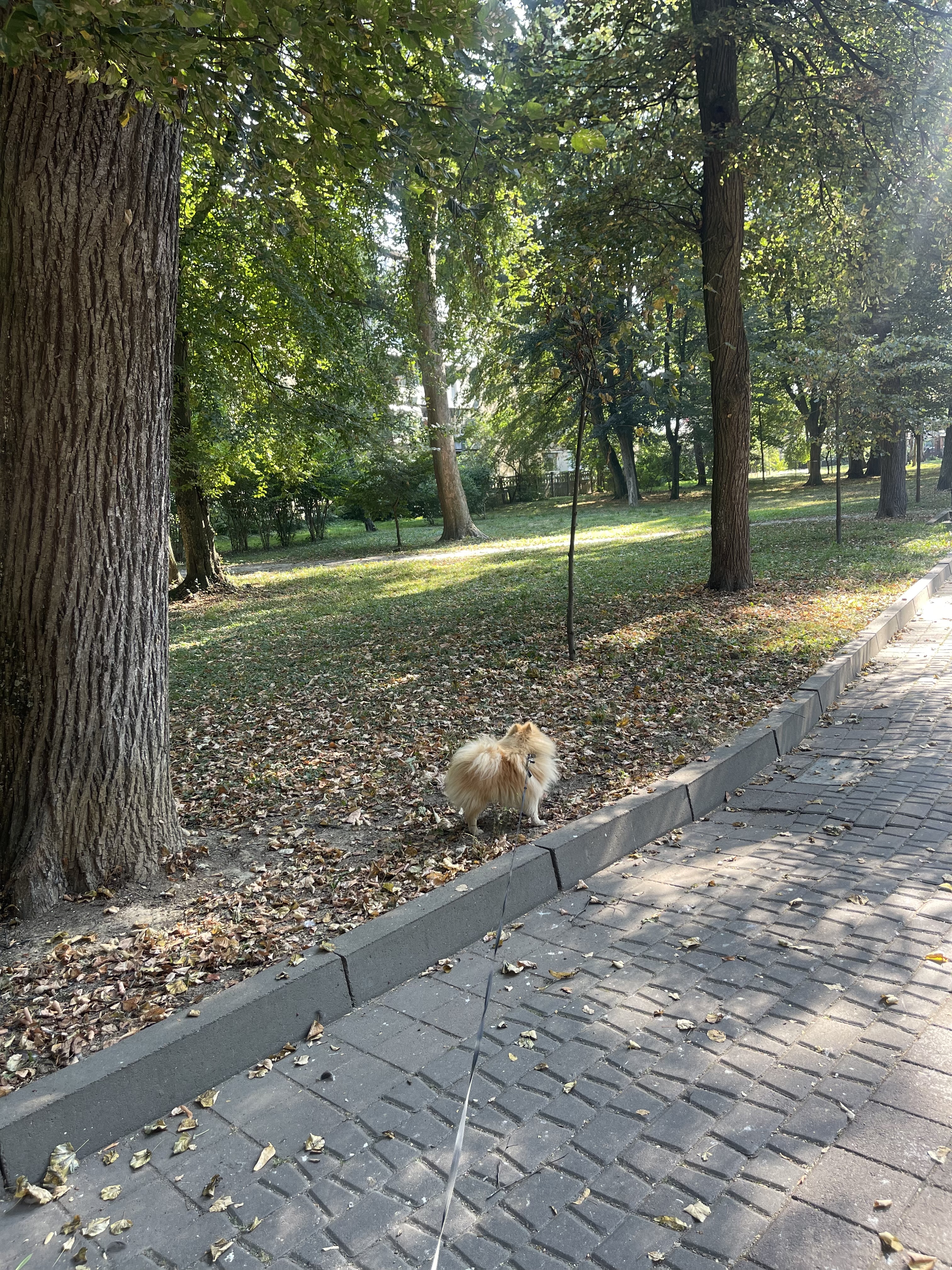 image-14