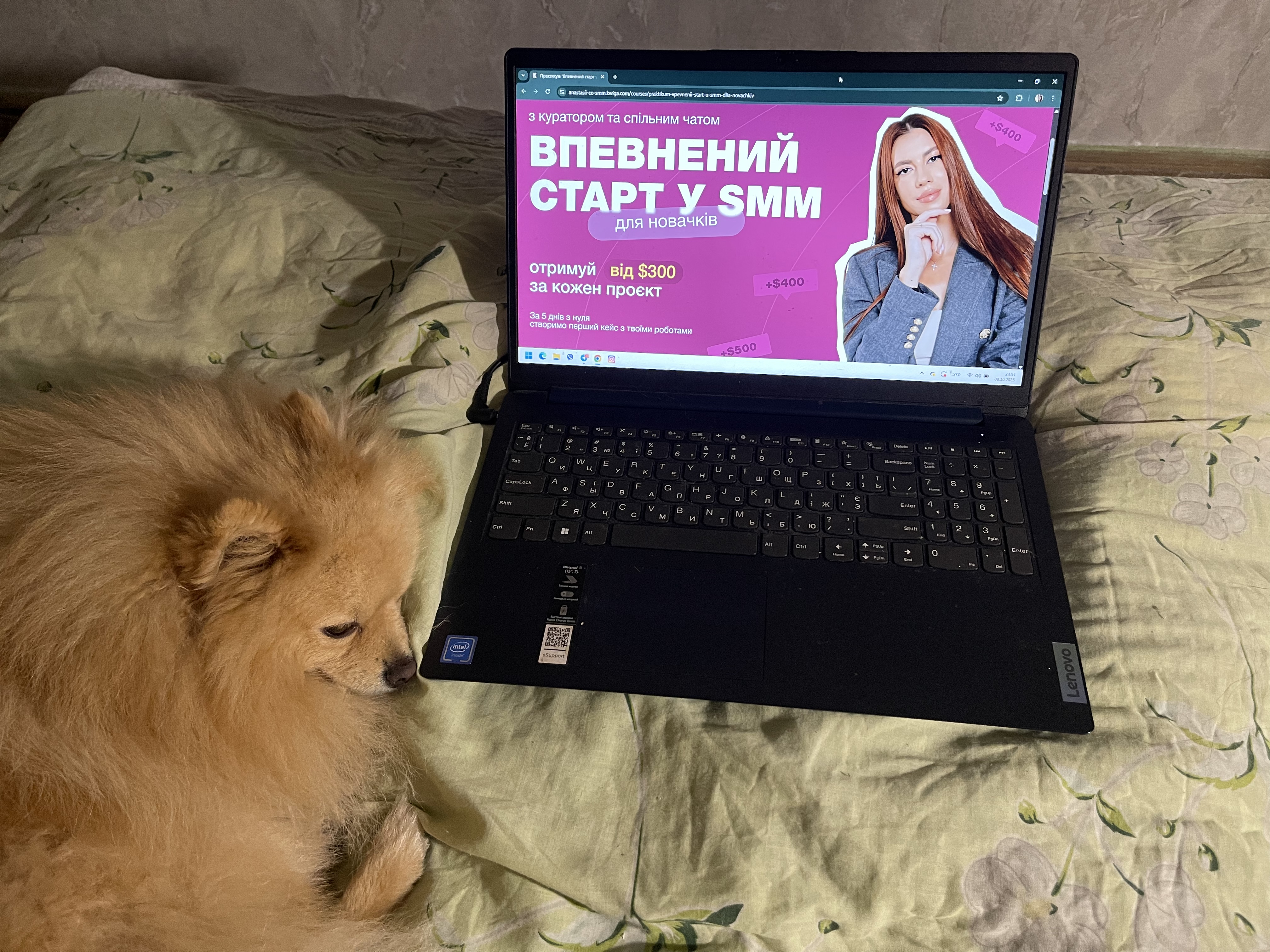 image-9