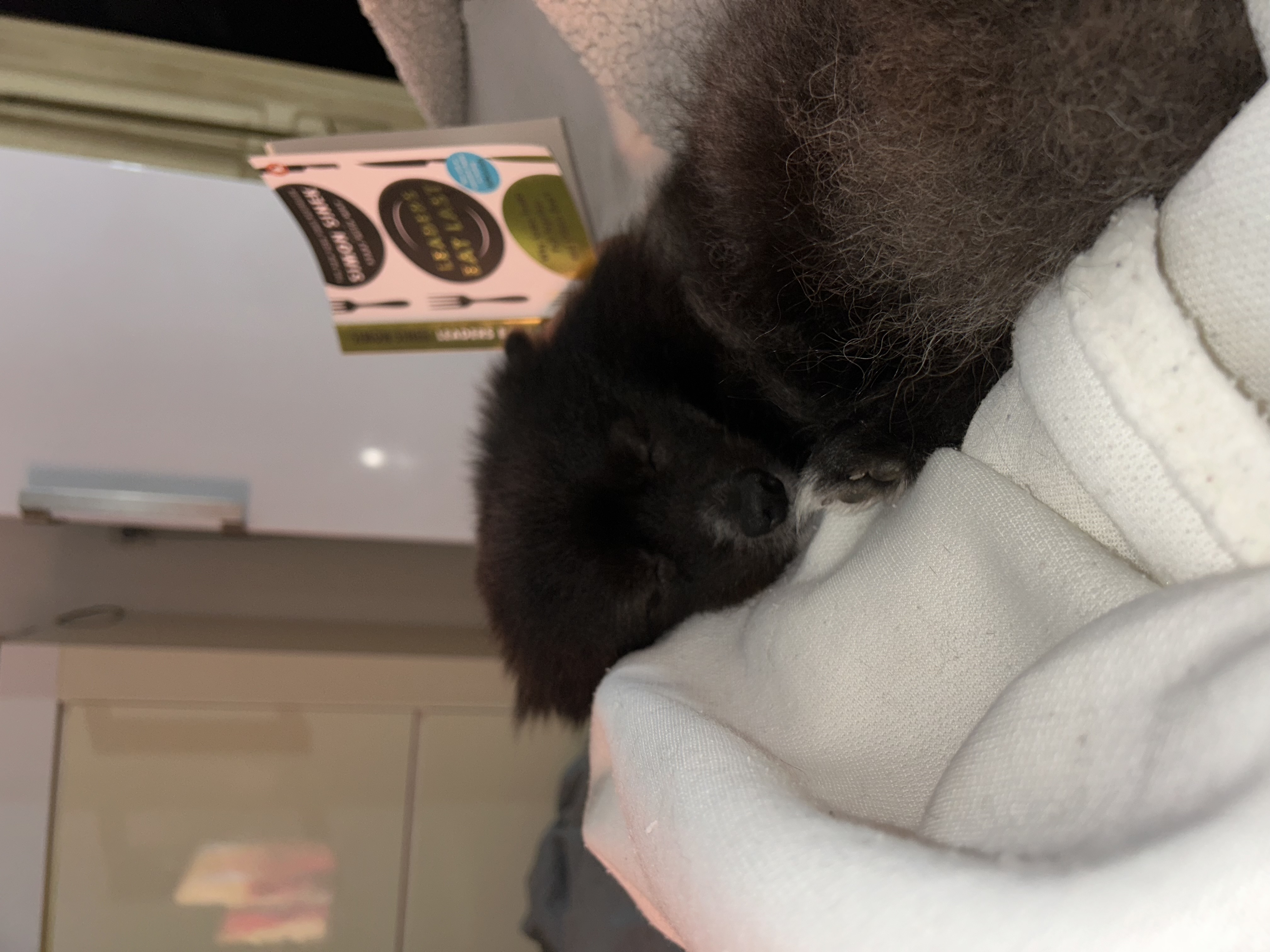 image-6
