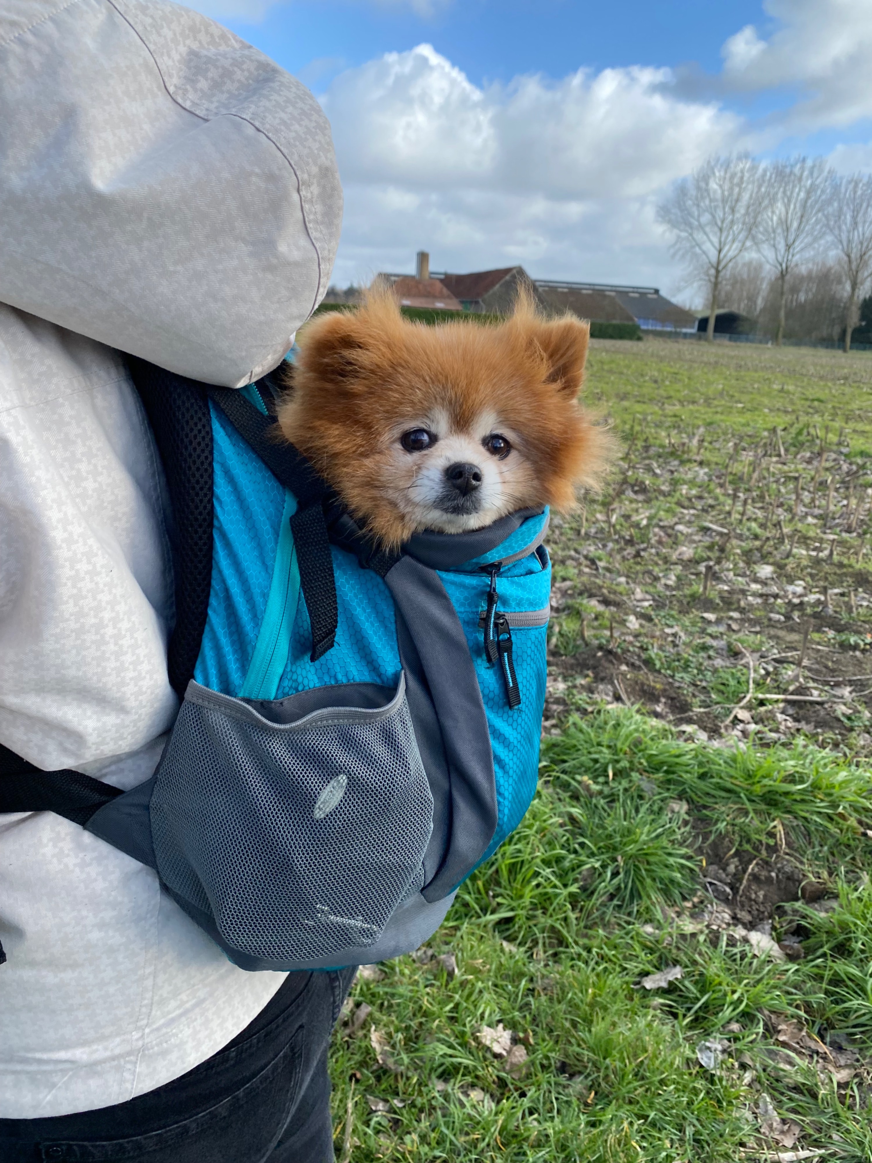 image-10