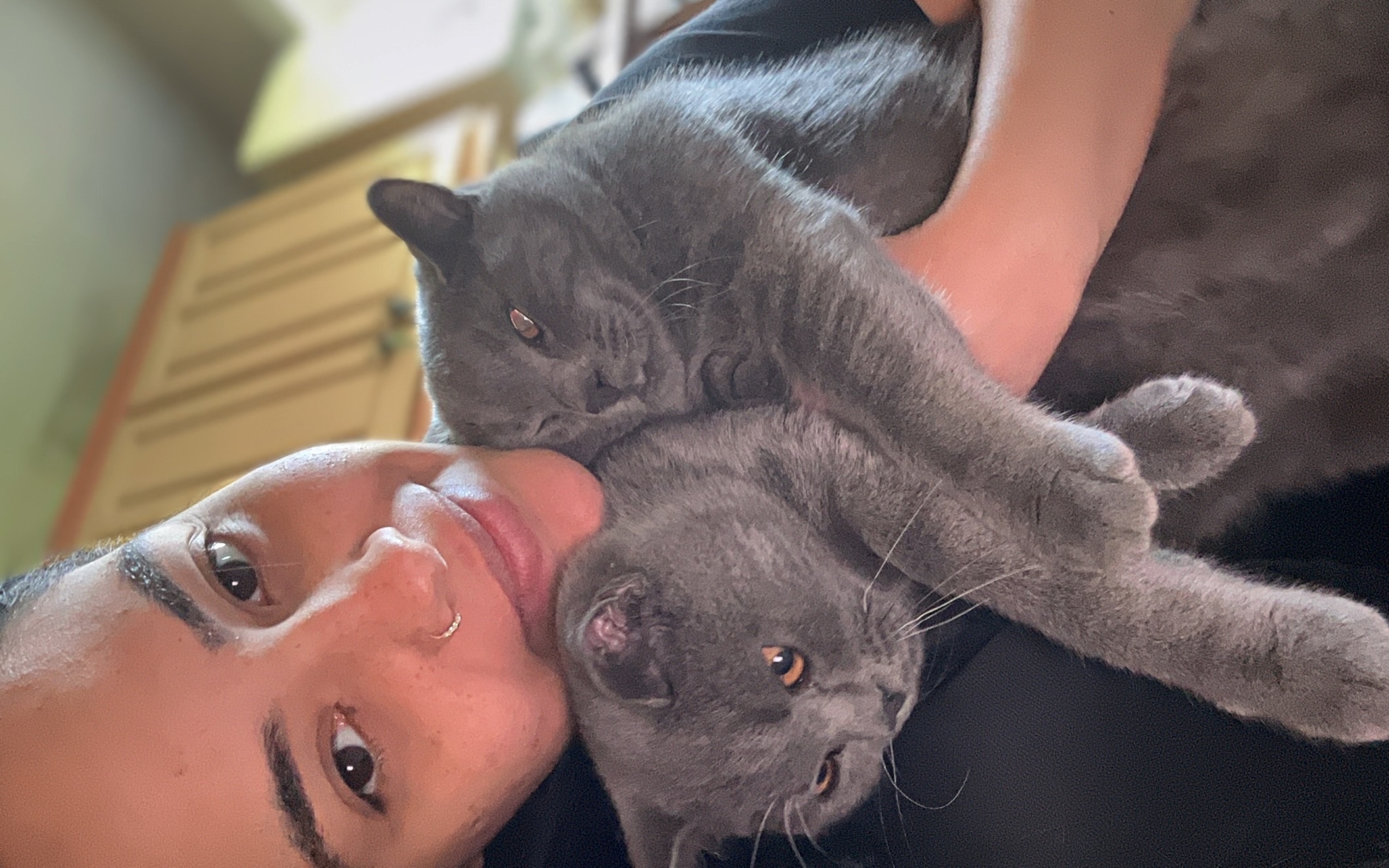 image-3