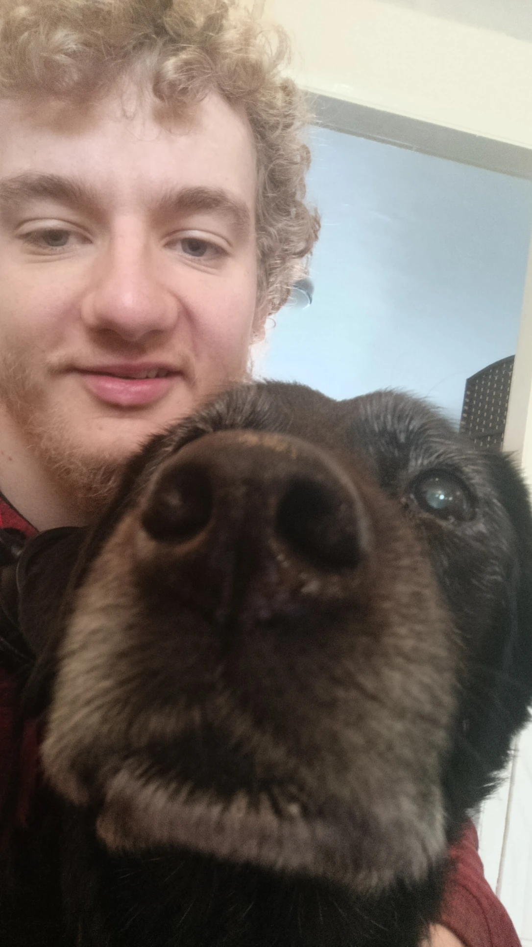 image-12