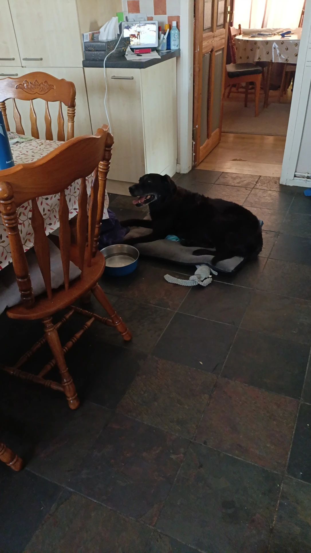 image-14