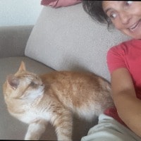 Carolien (2009-2022)