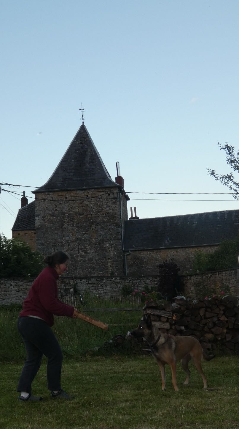 image-13