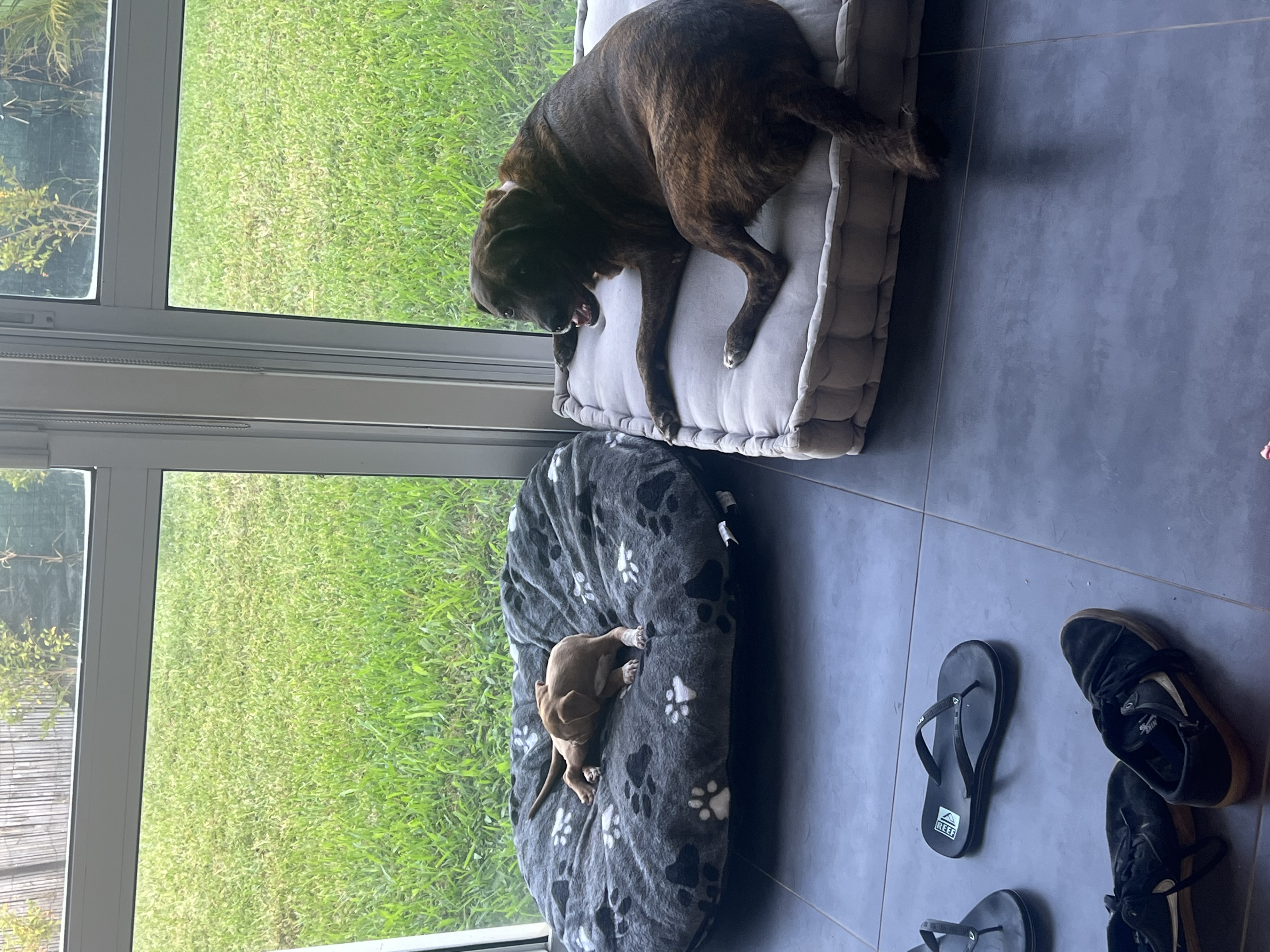 image-4
