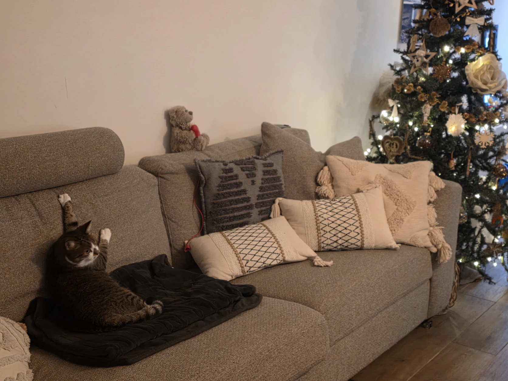 image-13