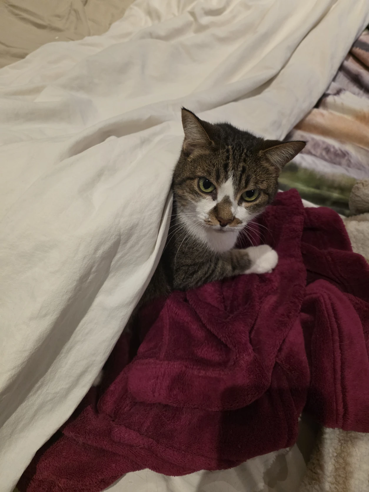 image-6
