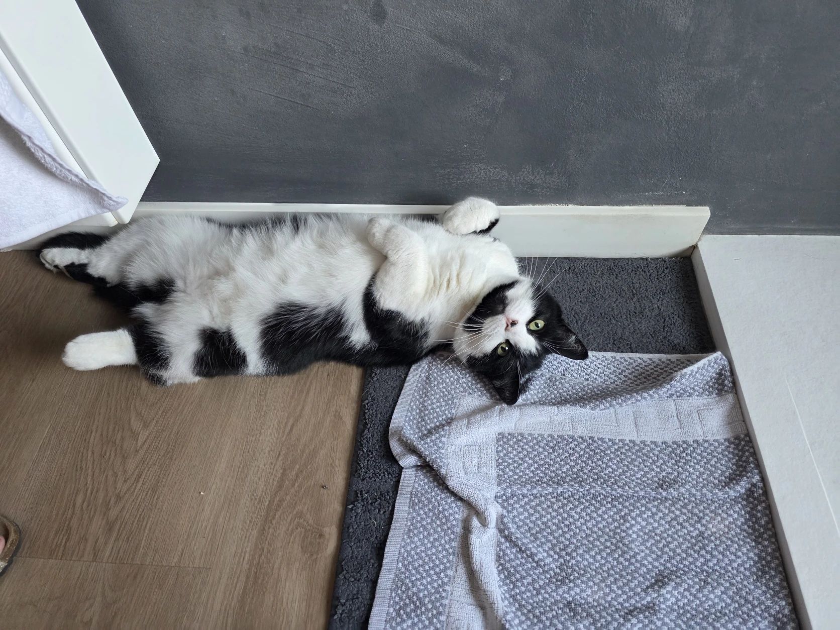 image-9