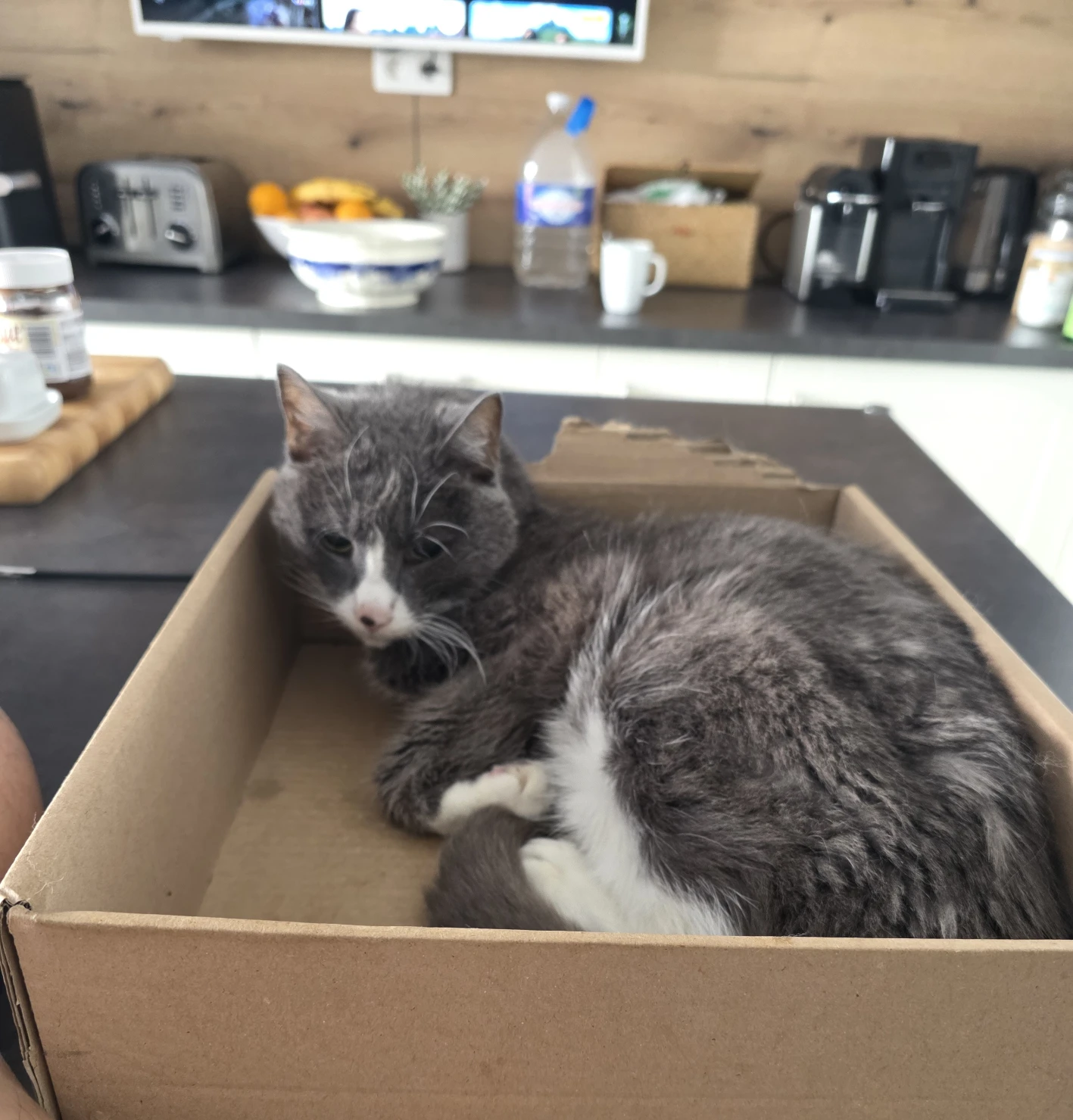 image-16