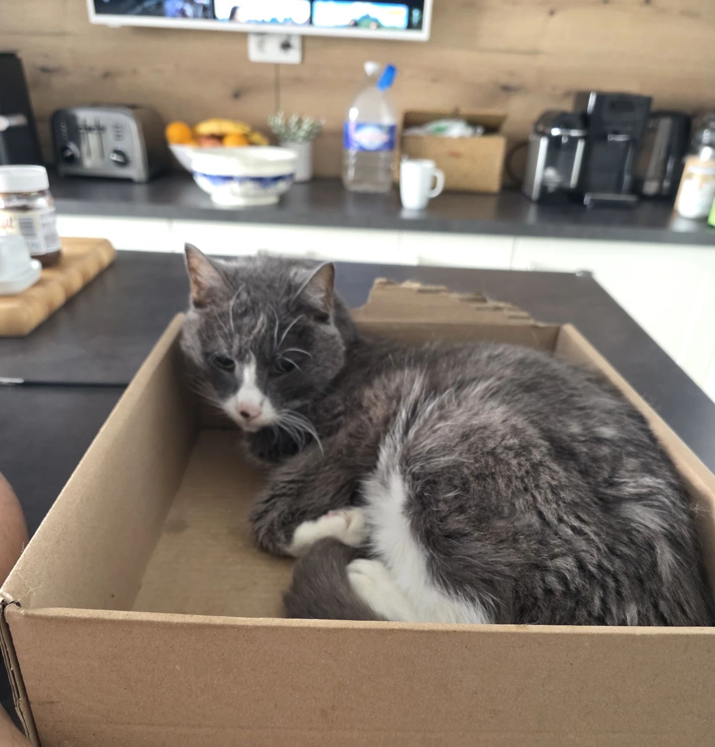 image-16
