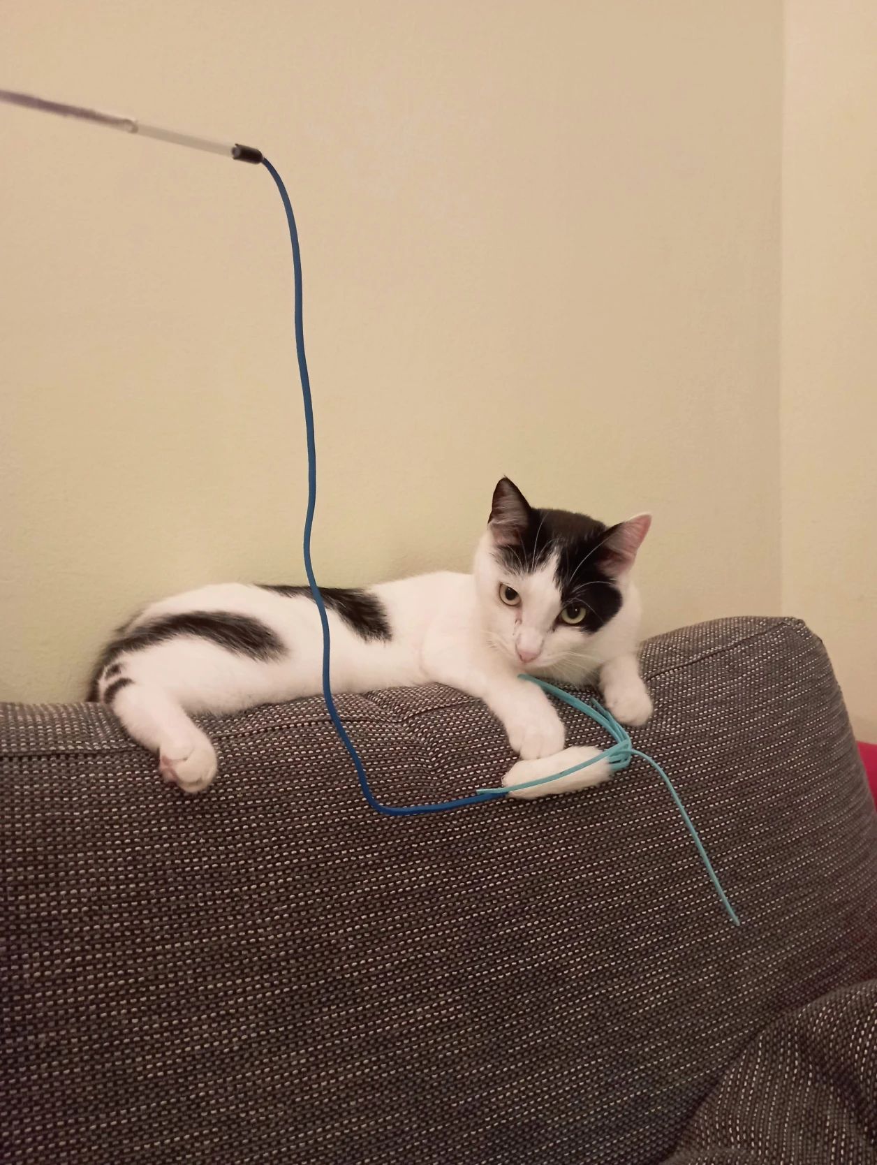 image-8