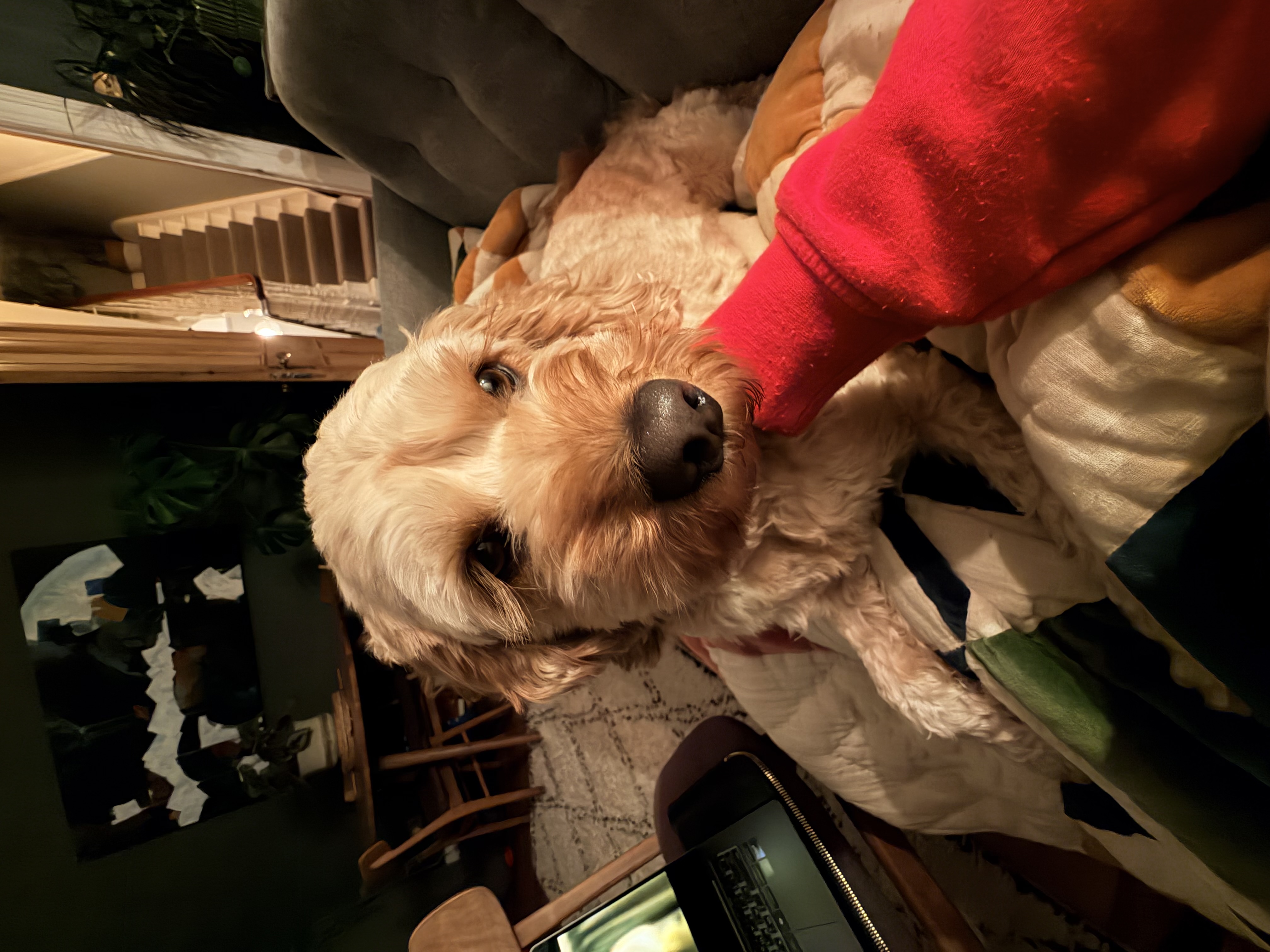image-7