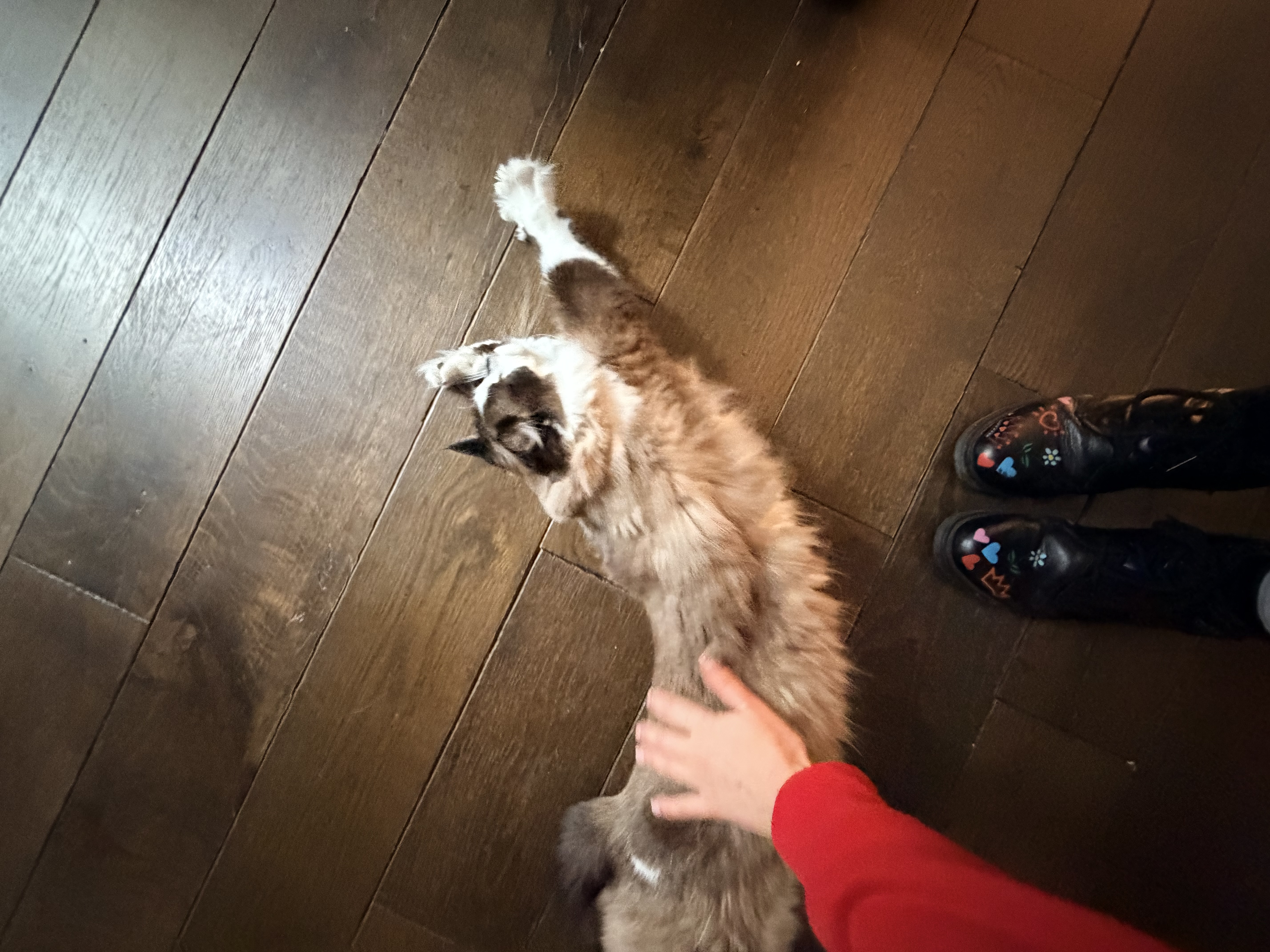 image-6
