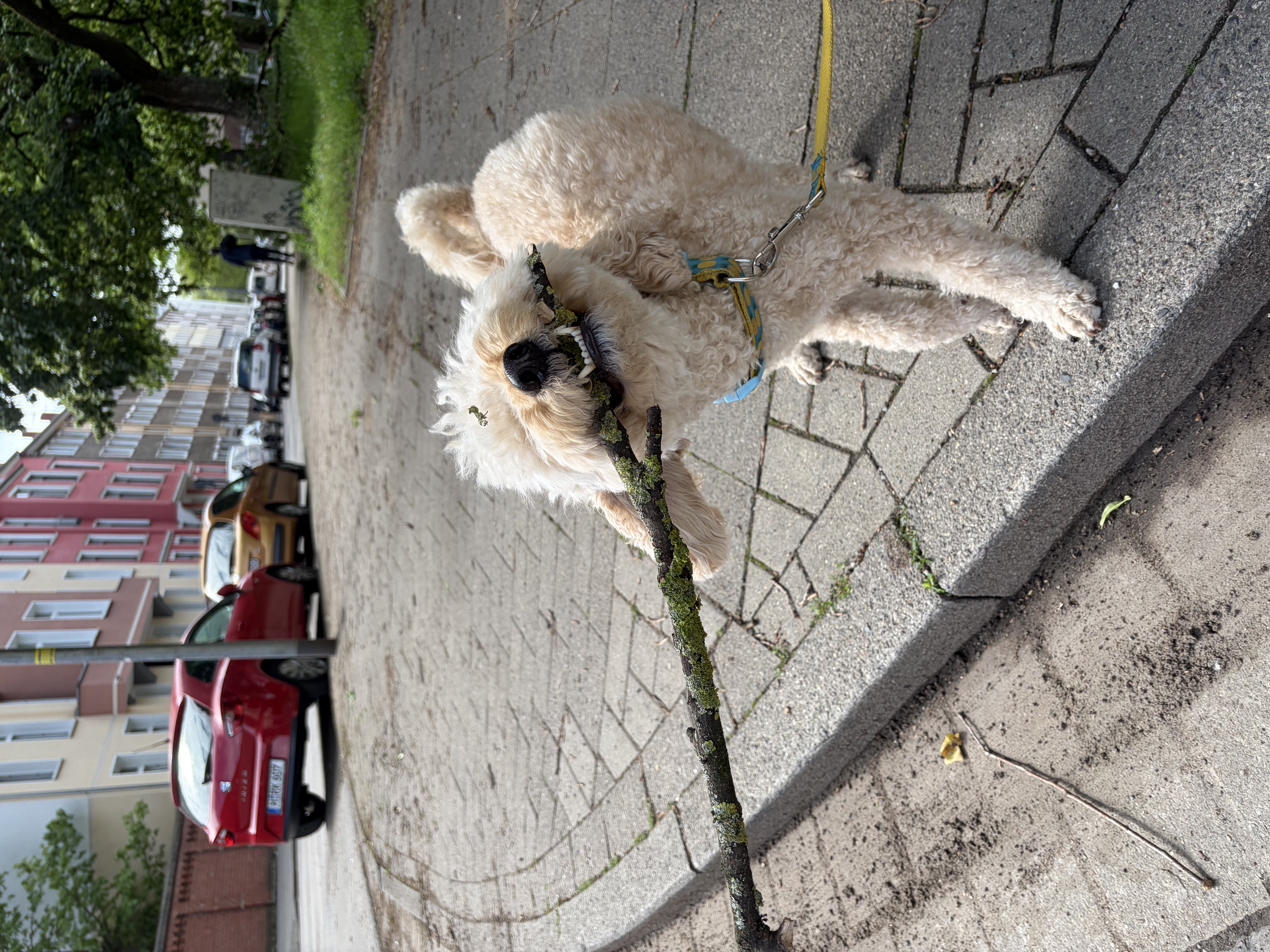 image-27