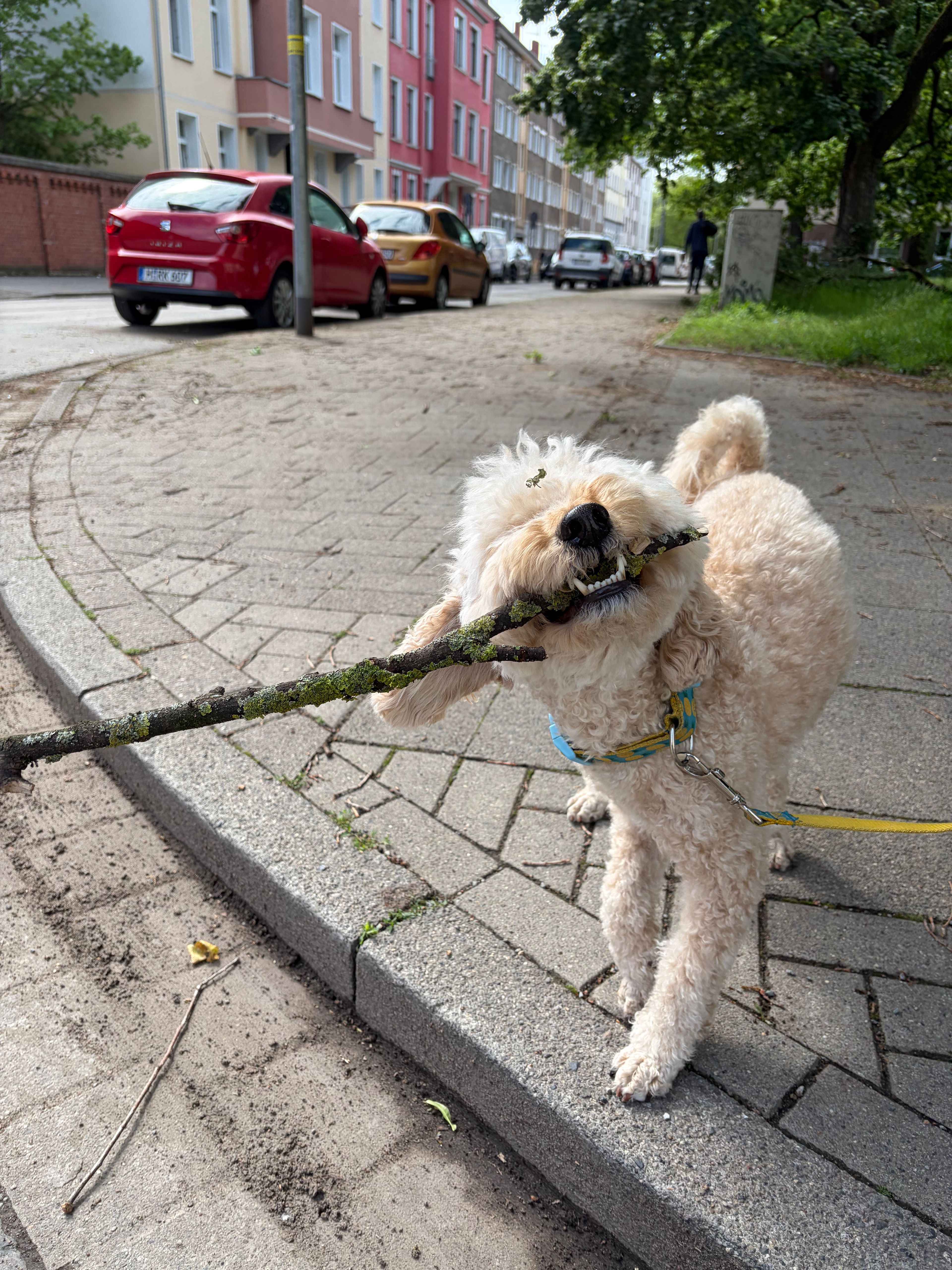 image-27