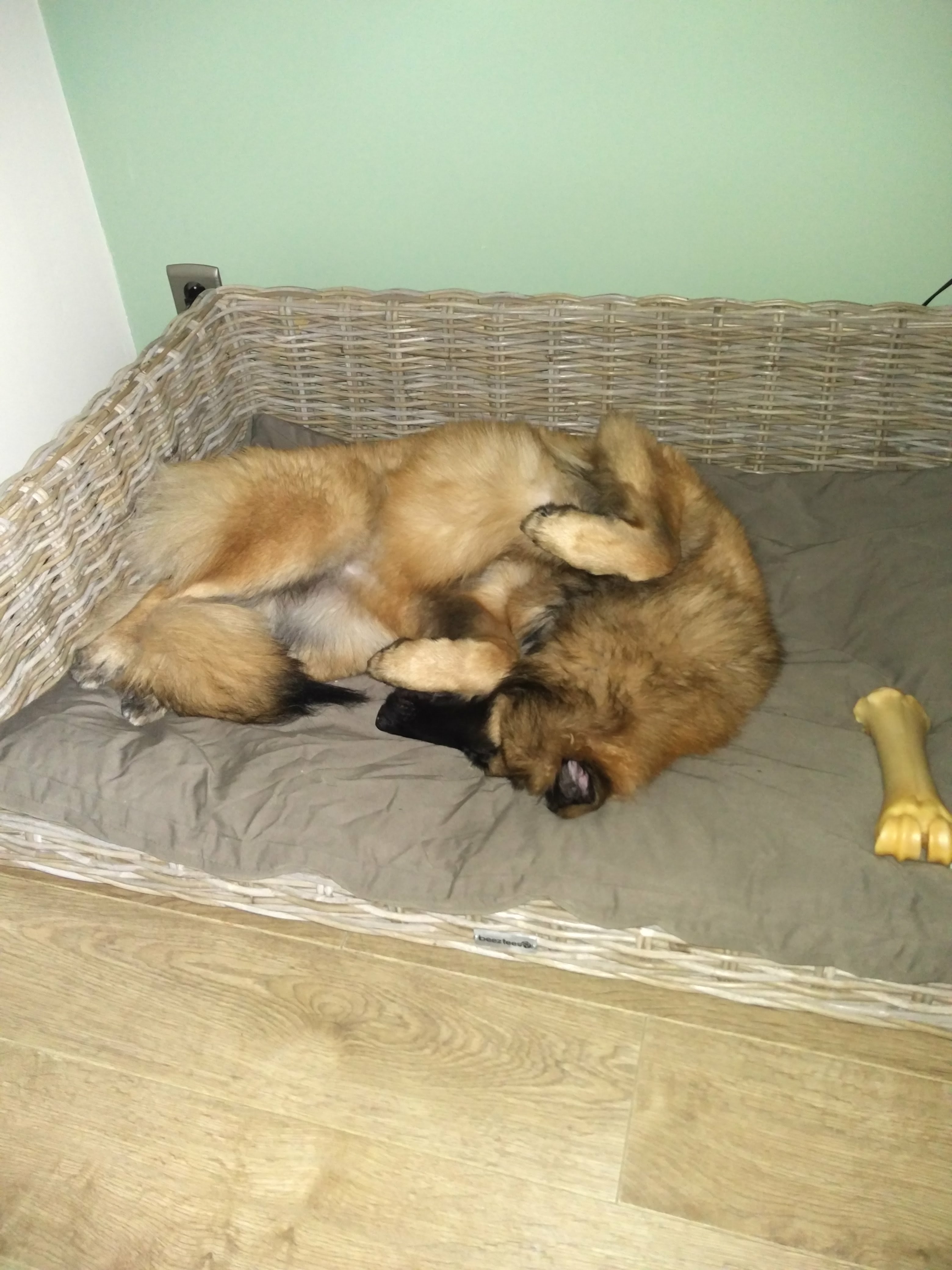 image-5