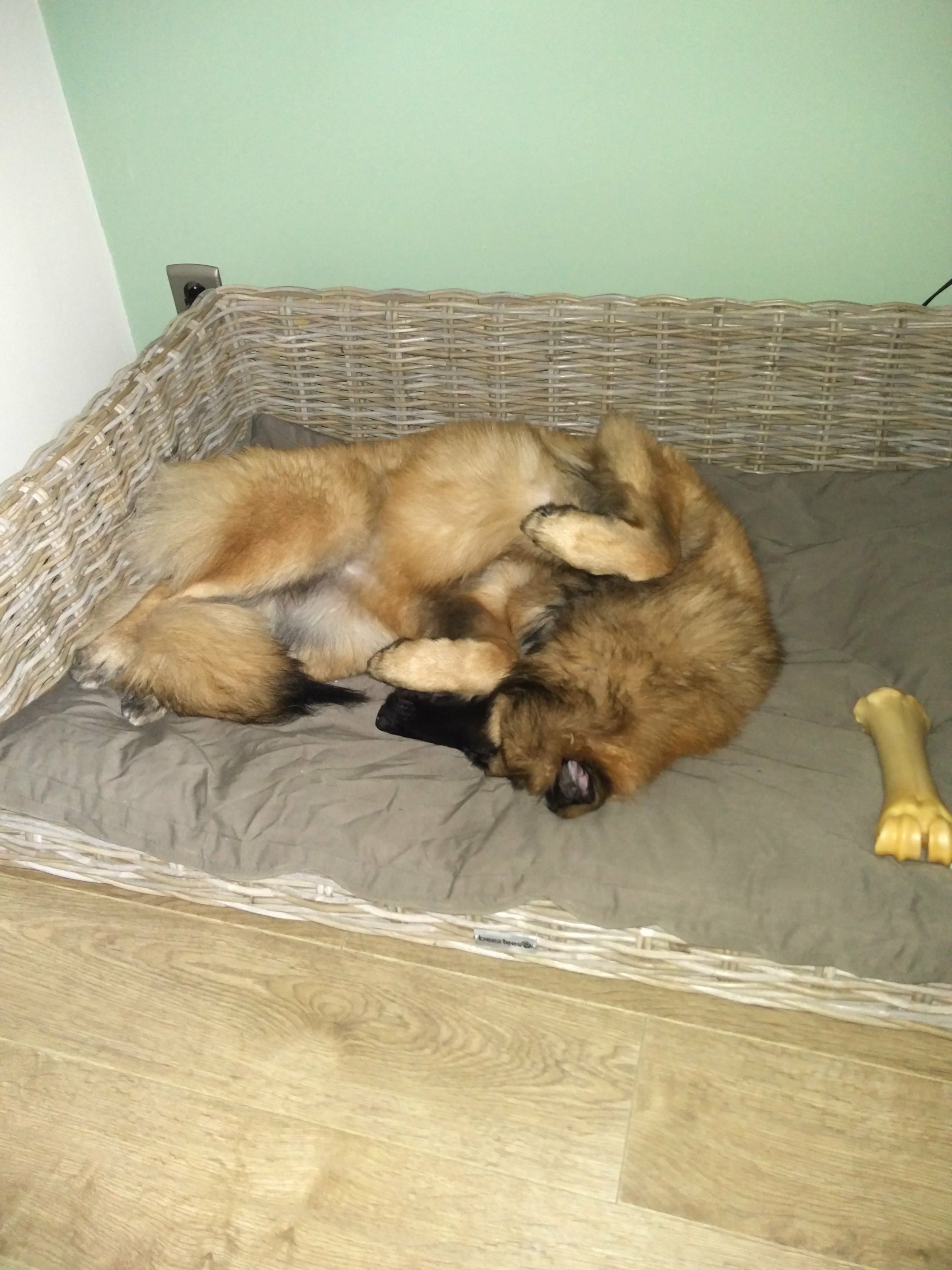 image-5