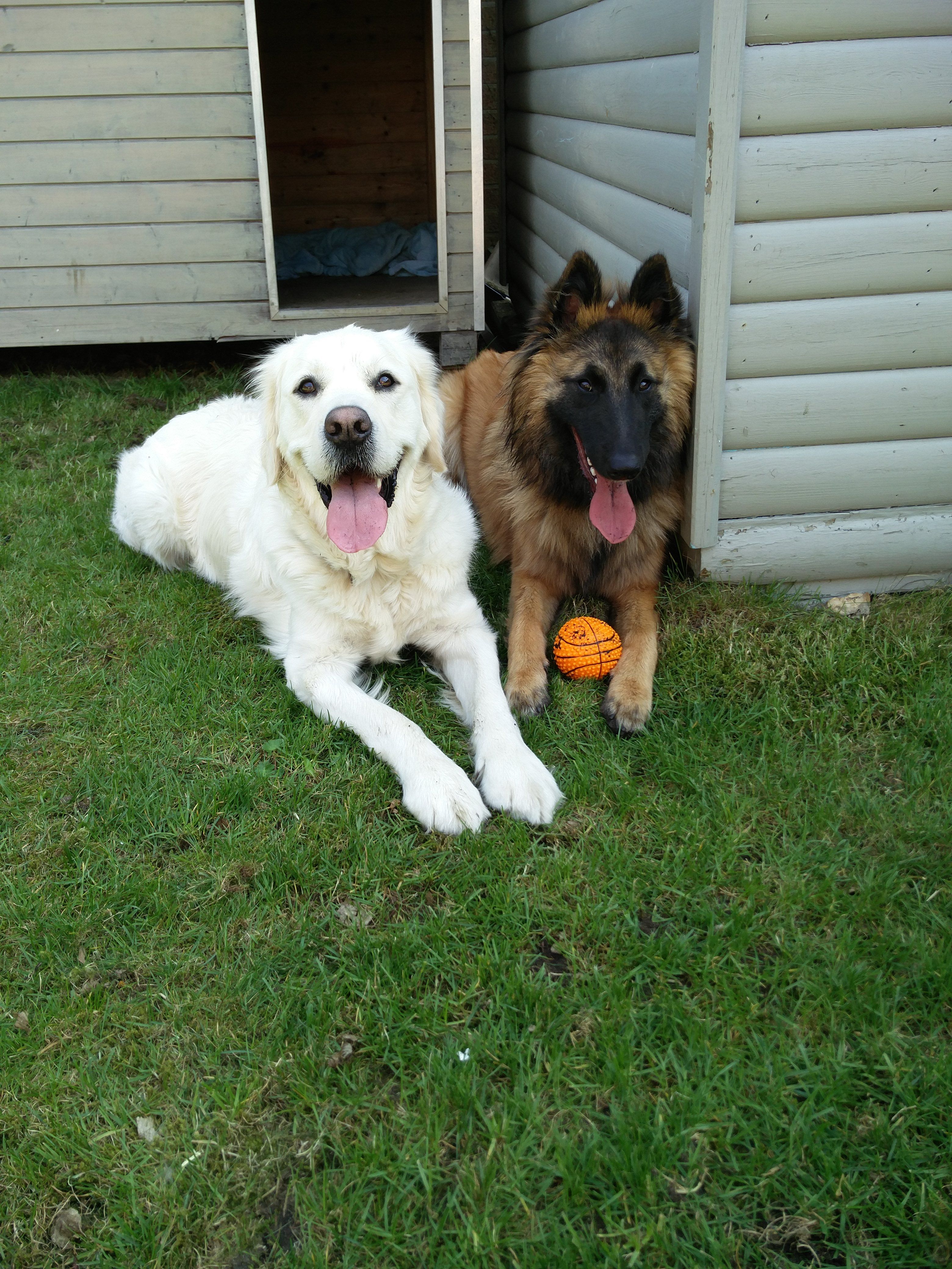 image-6