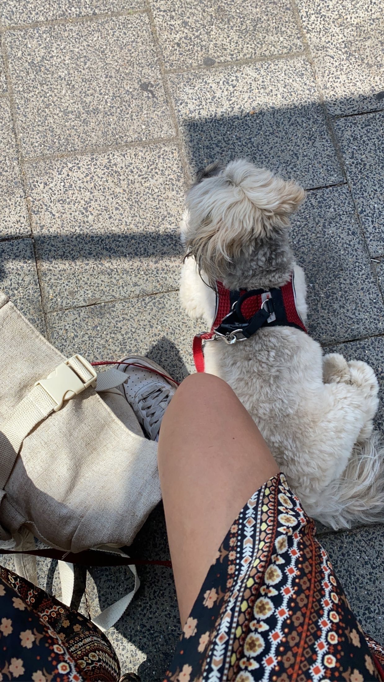 image-11