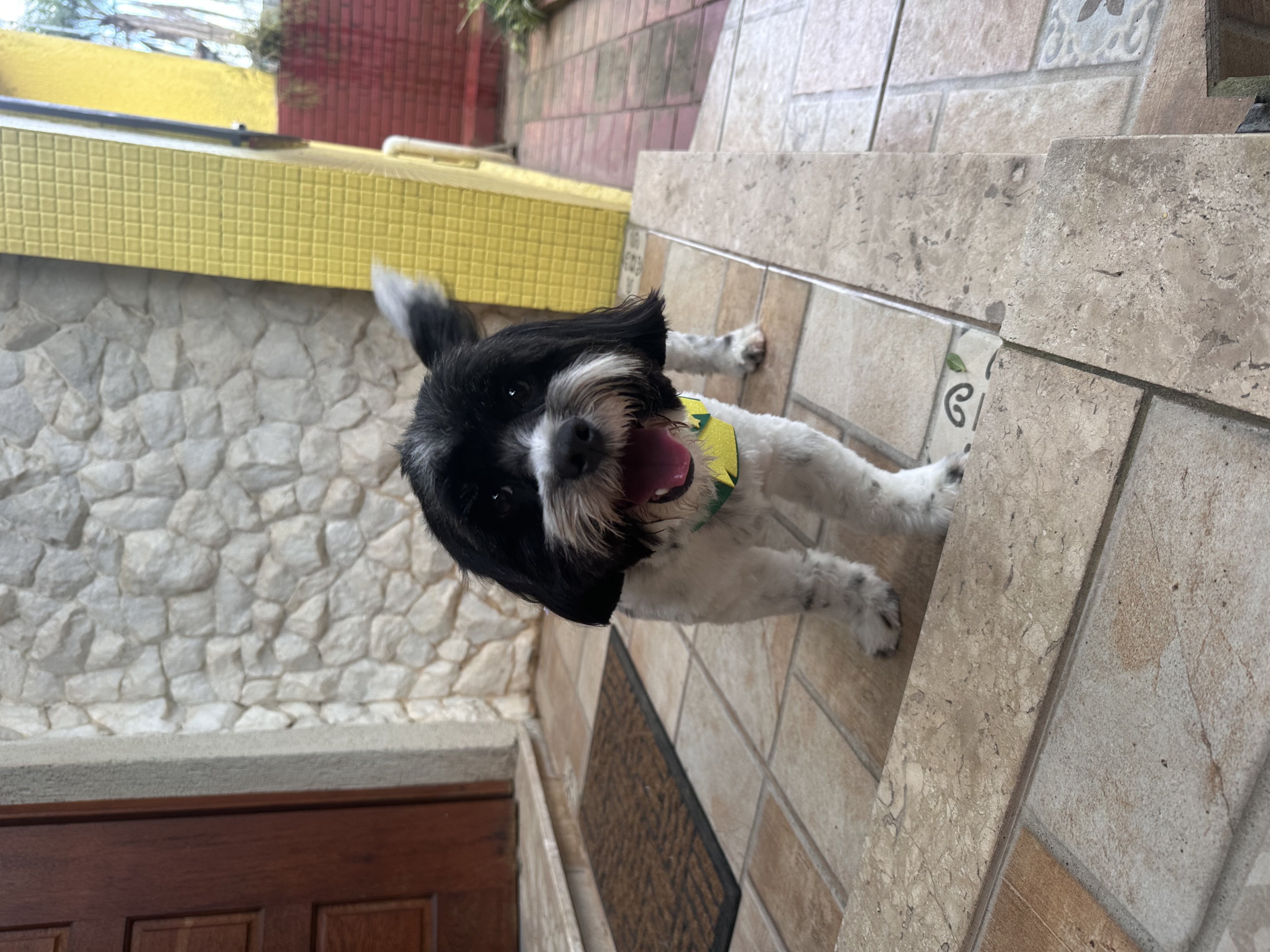 image-16