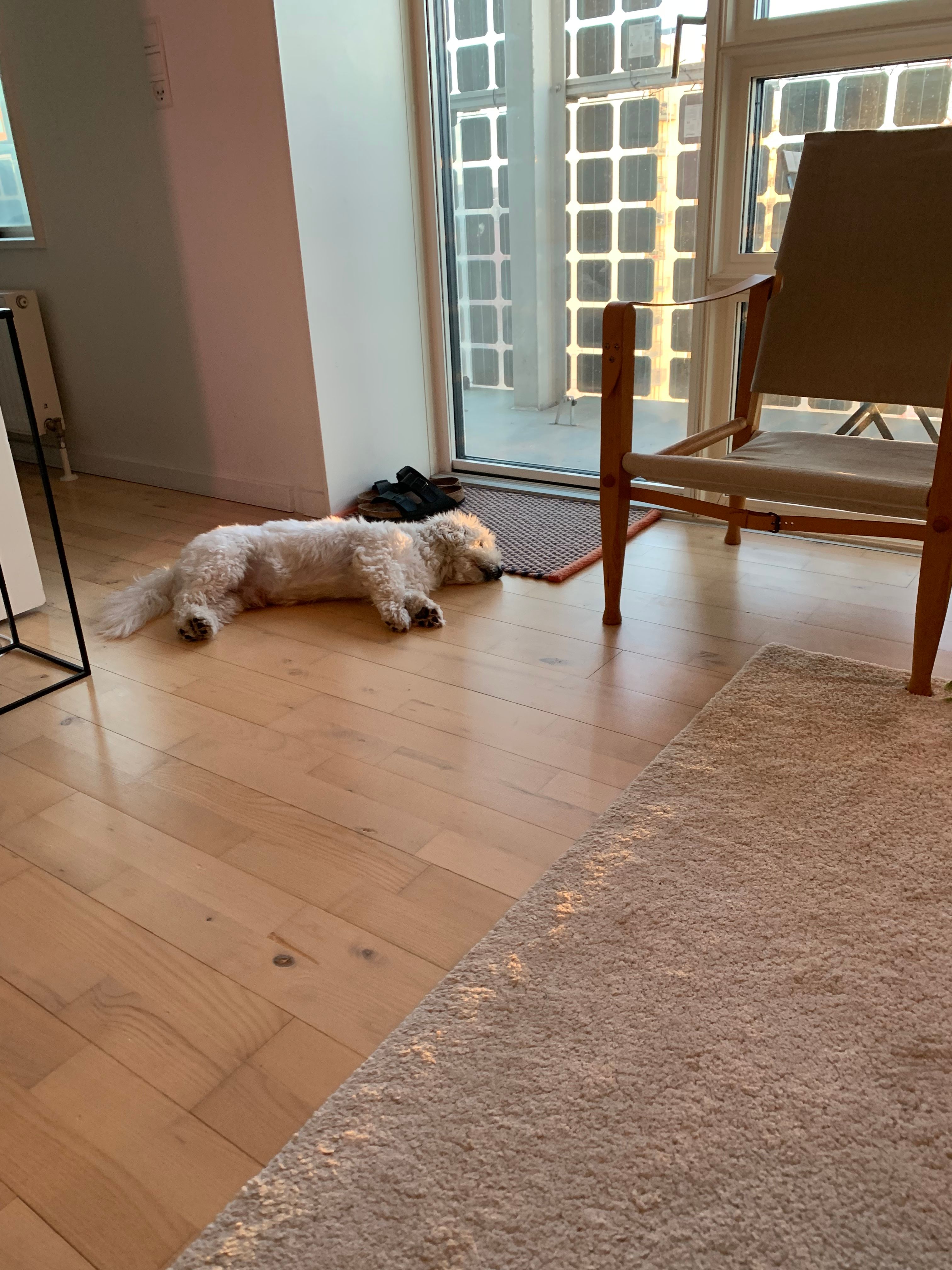 image-13