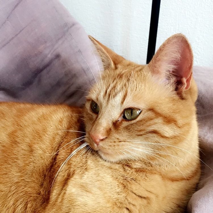 Leonard
