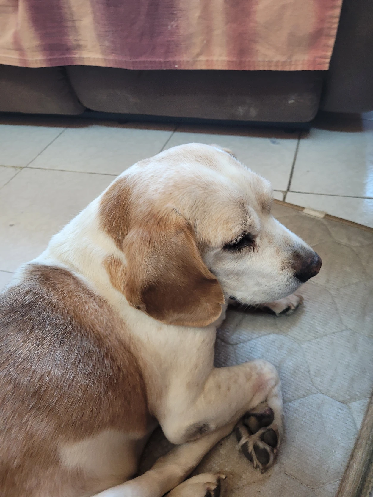 image-20