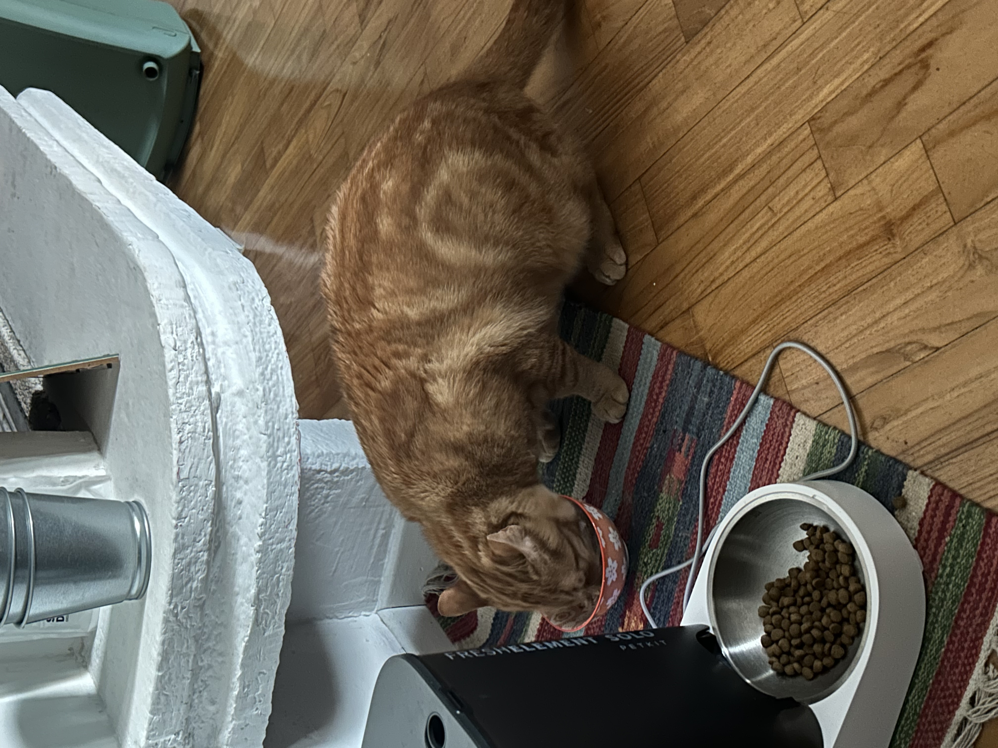 image-10