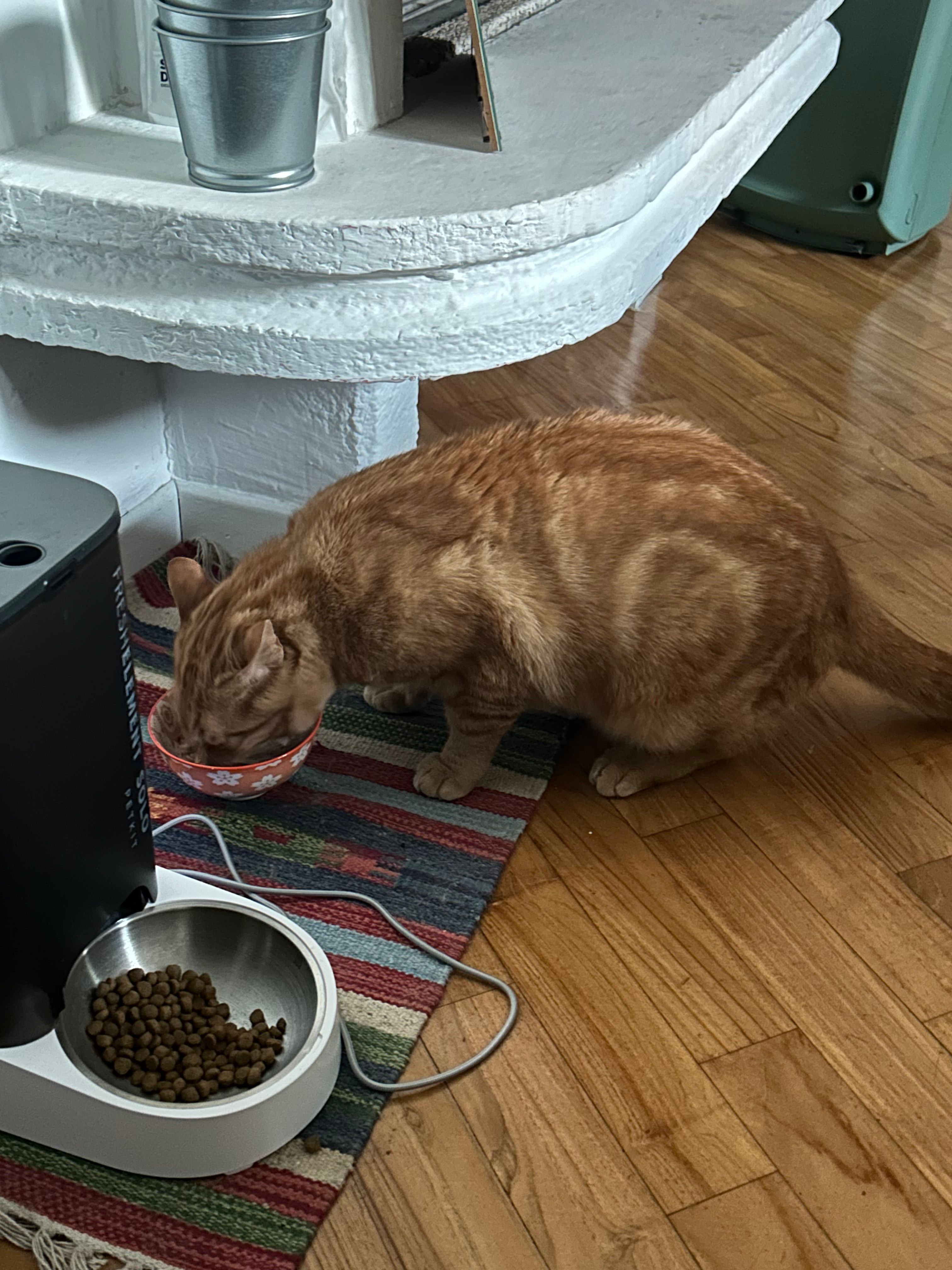 image-10