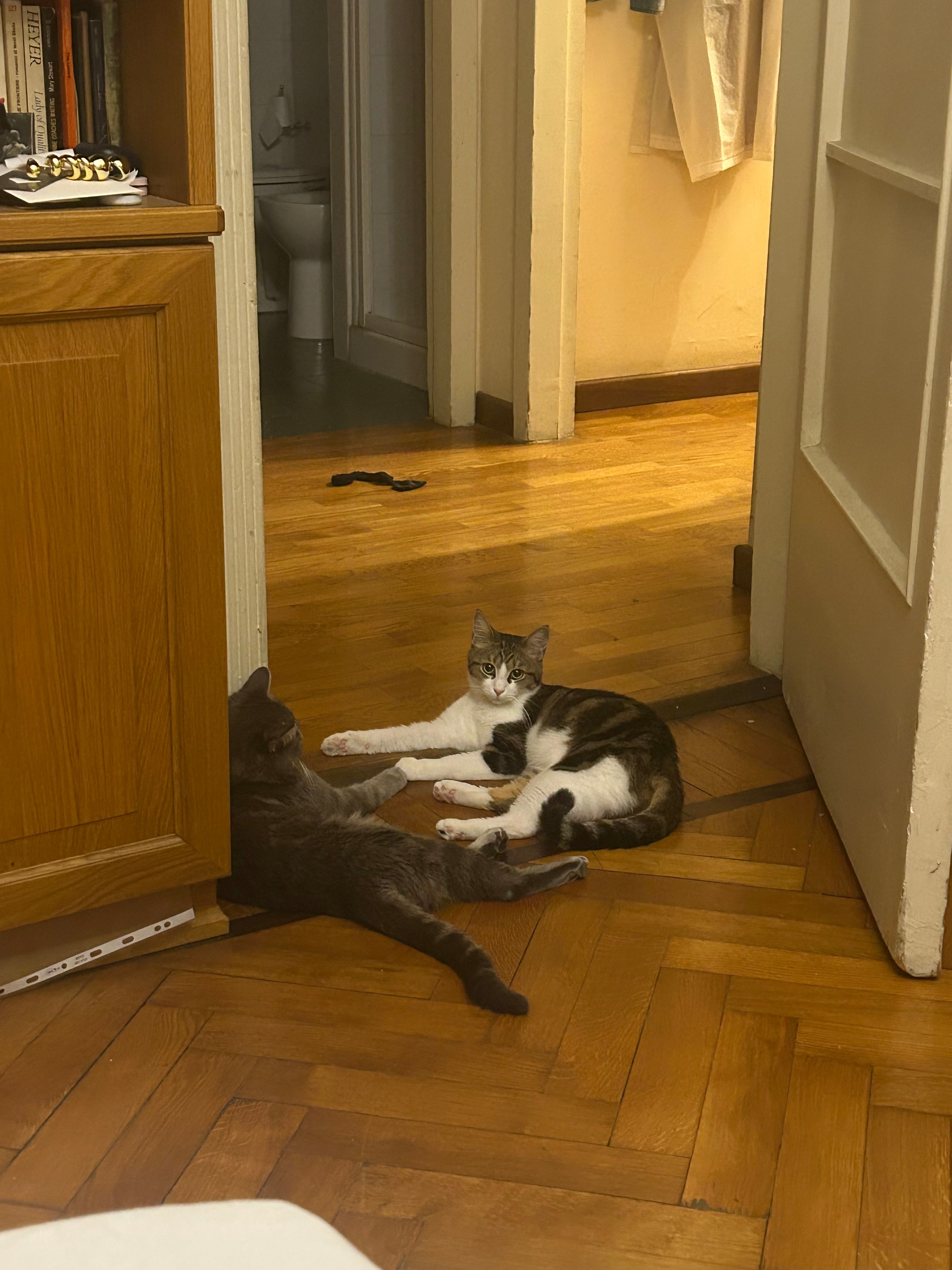 image-12