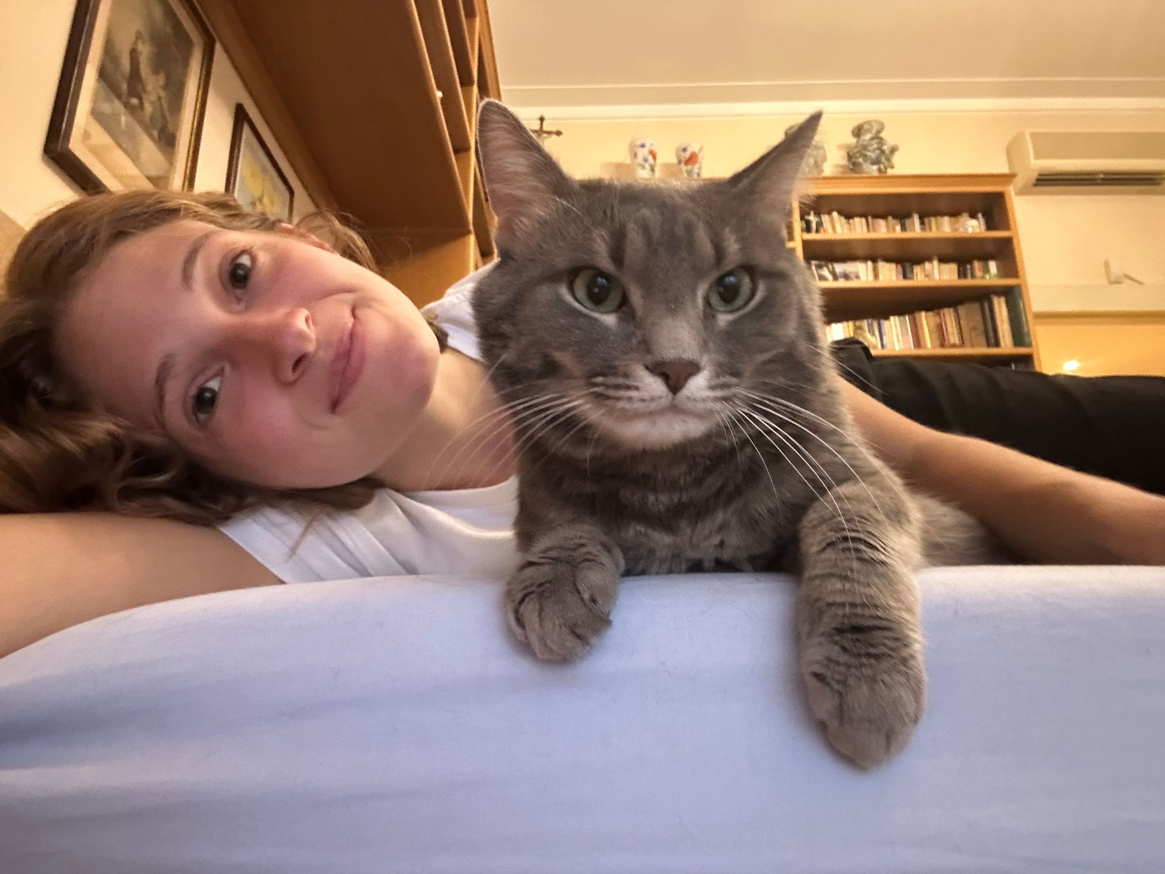 image-11
