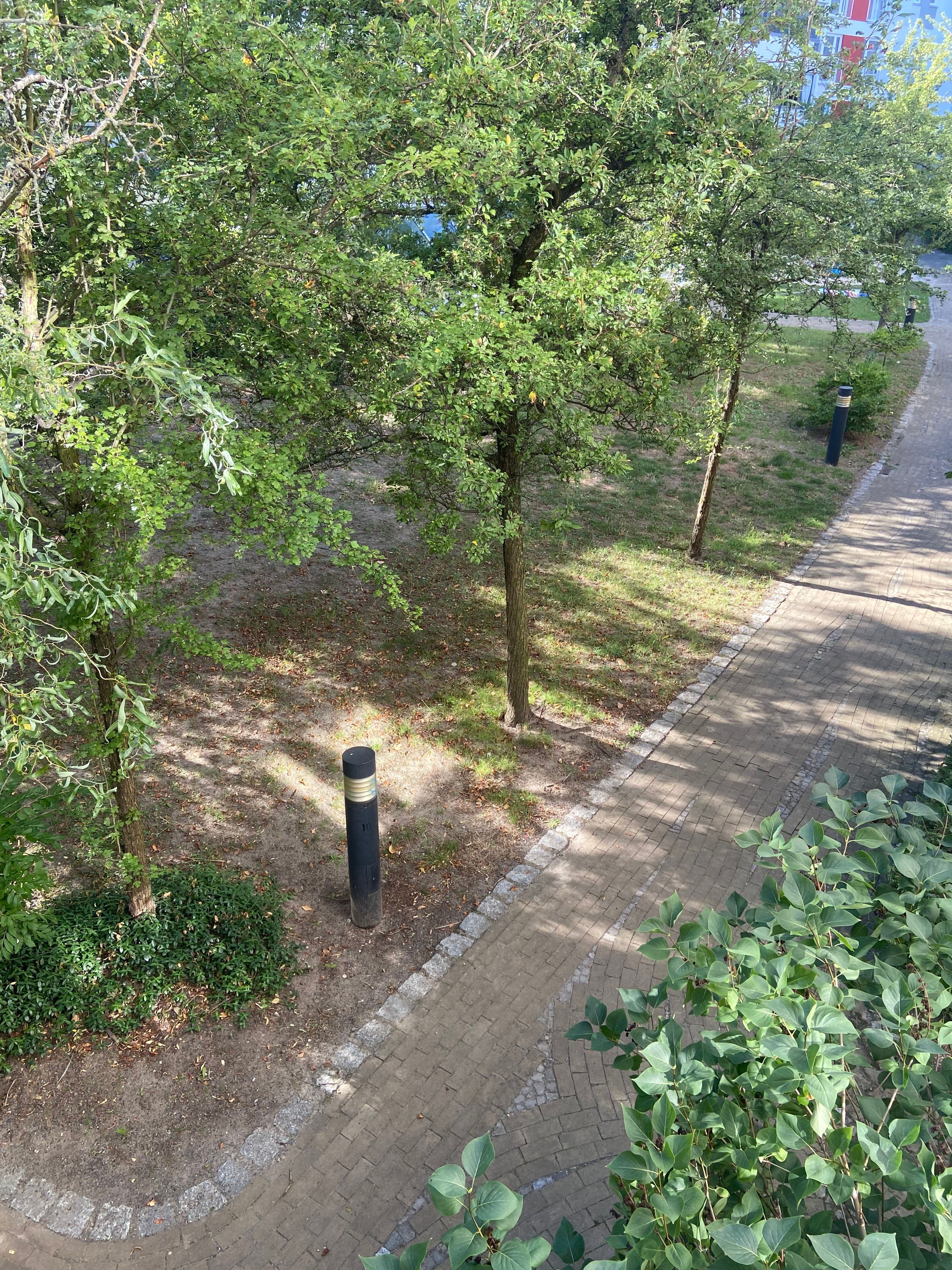 image-20