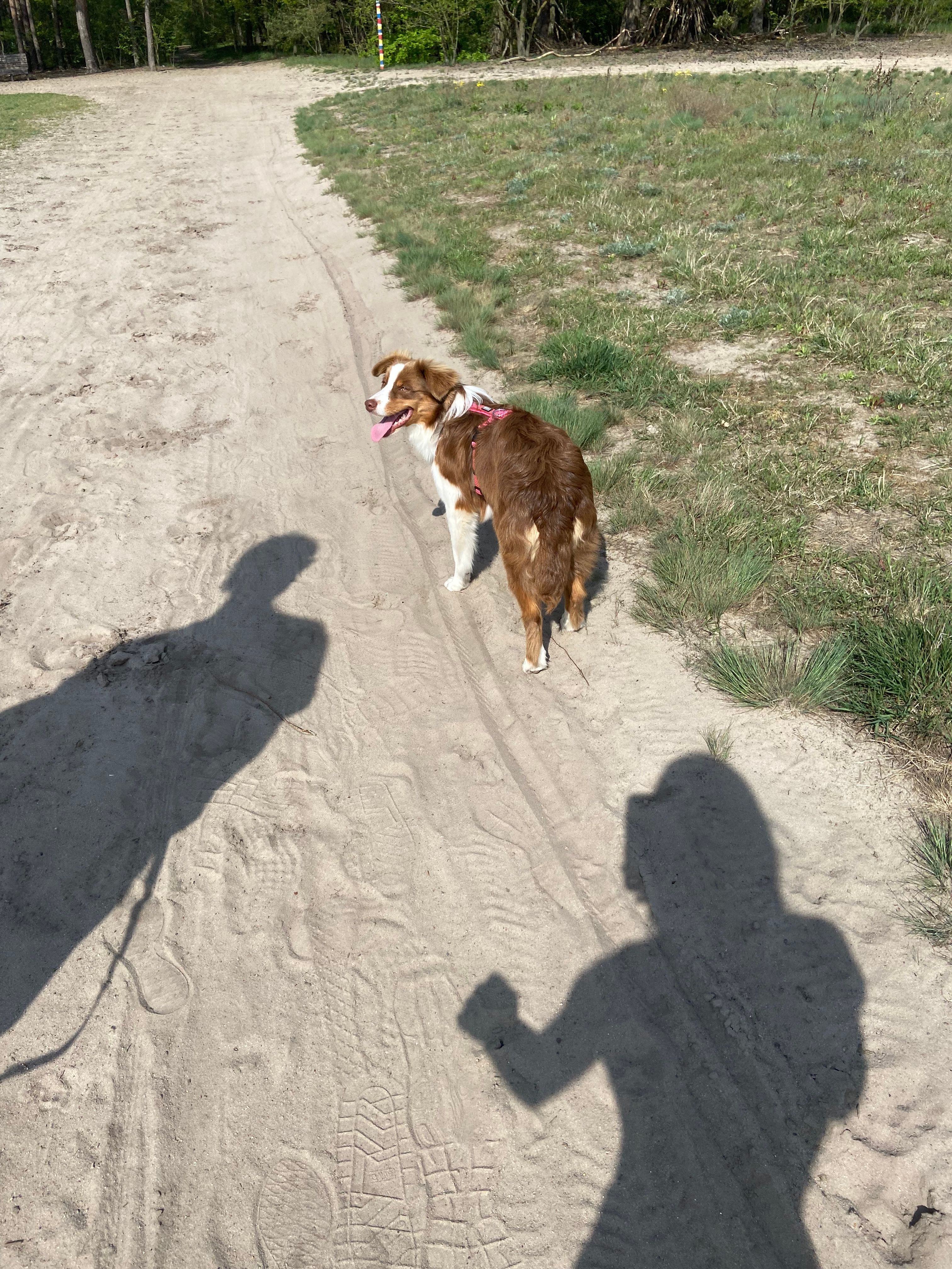 image-23