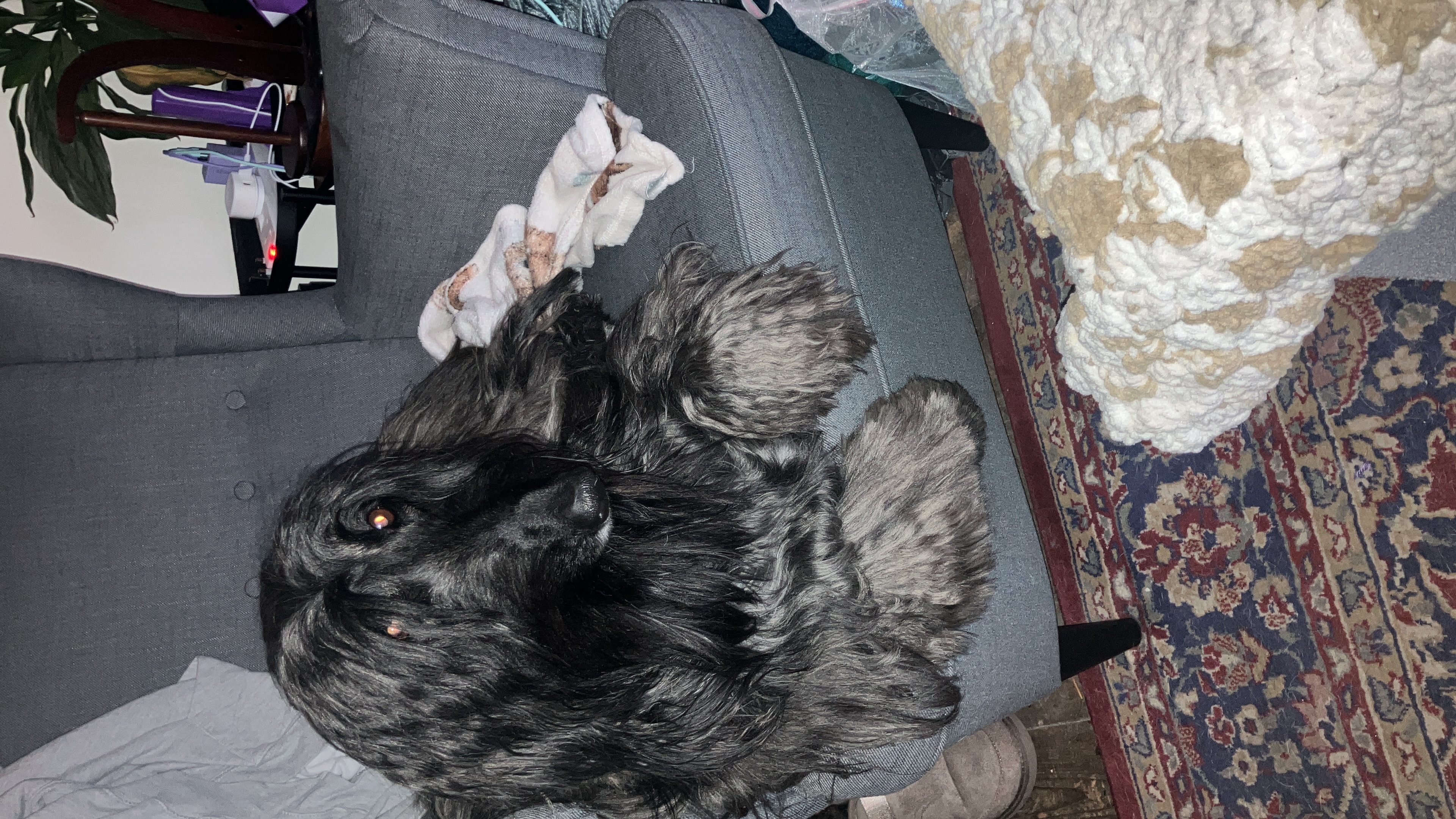 image-9