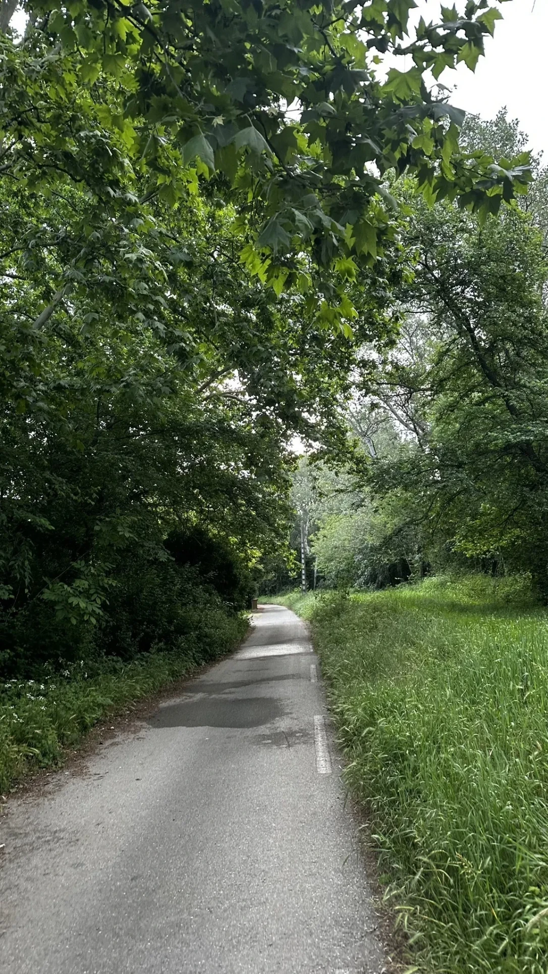 image-19