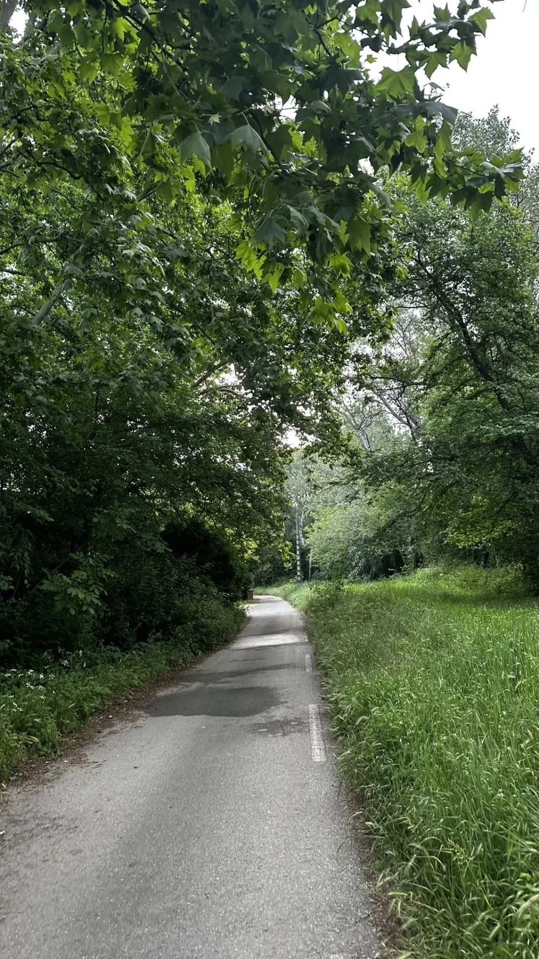 image-19
