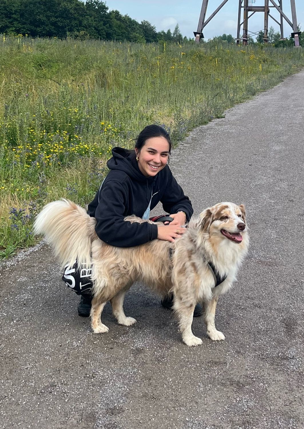 image-3
