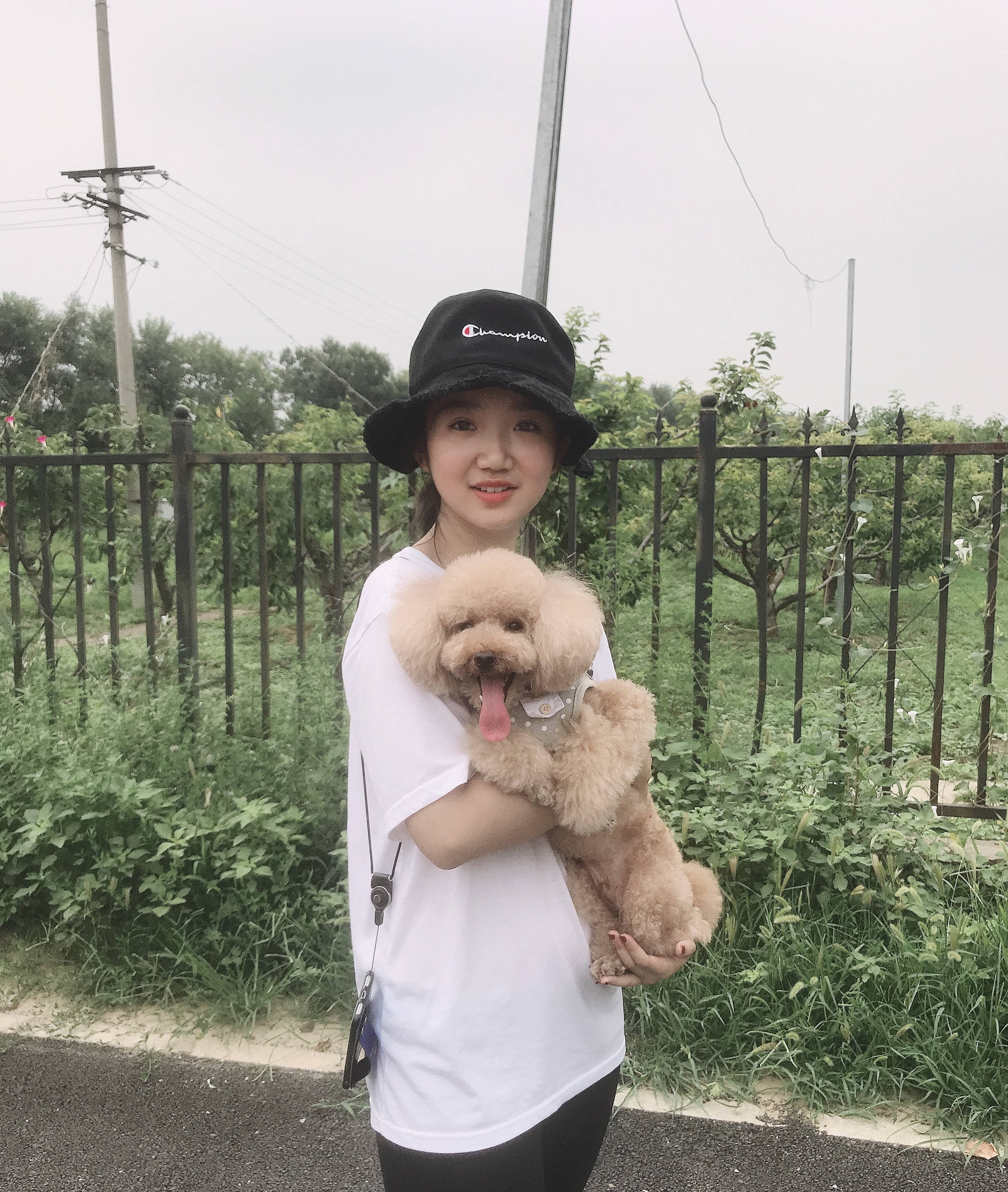 image-10