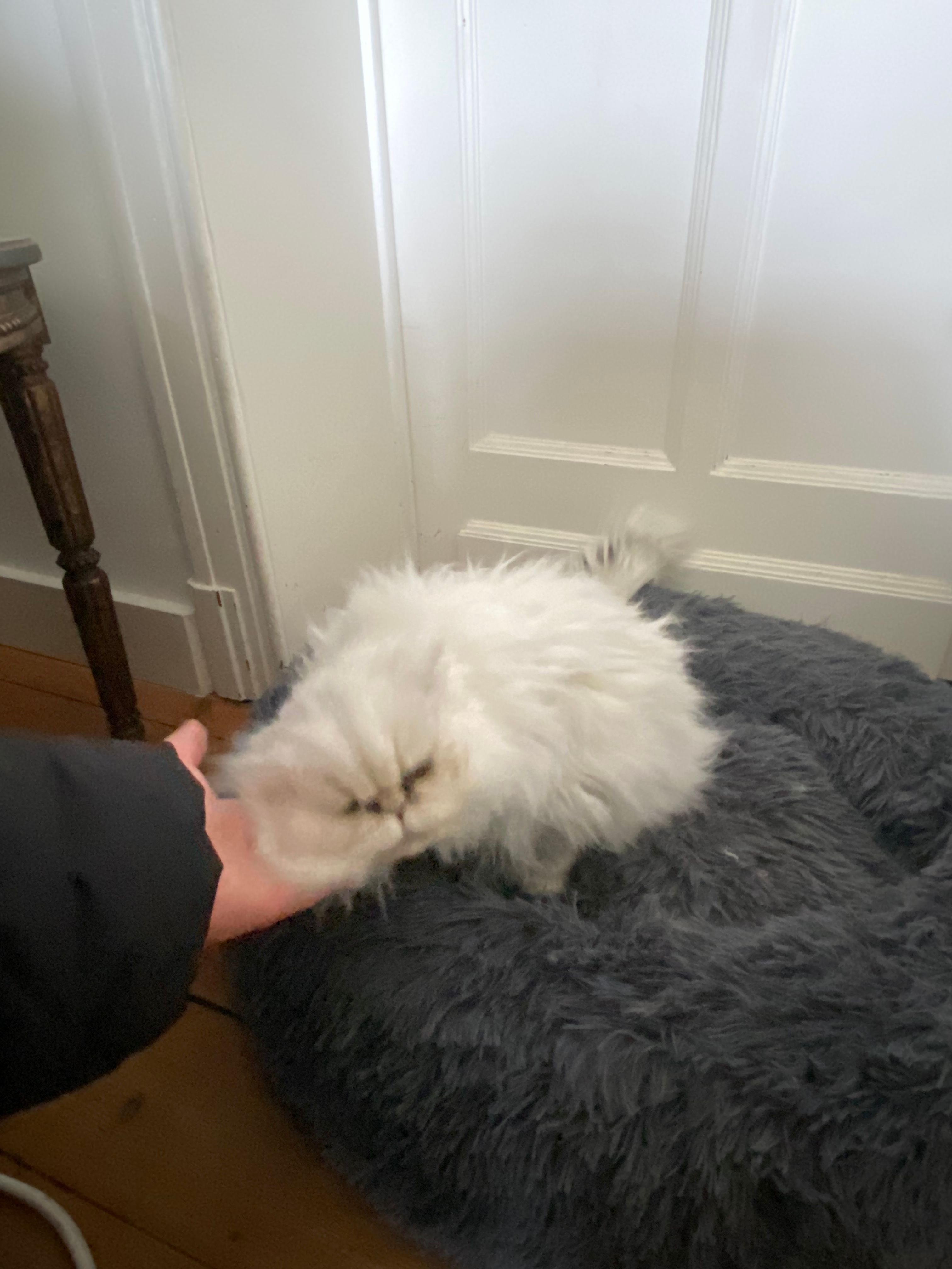 image-7