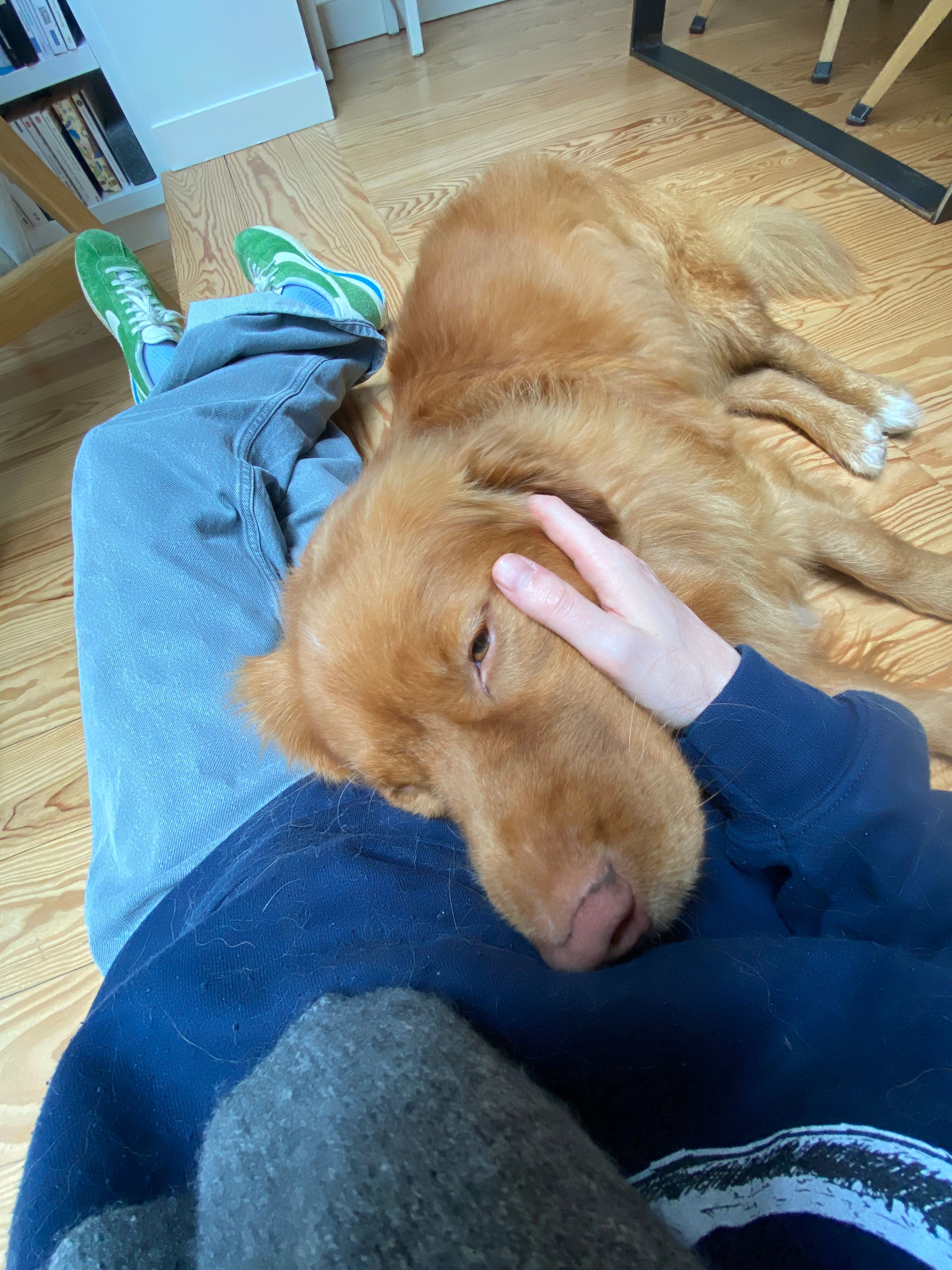 image-6