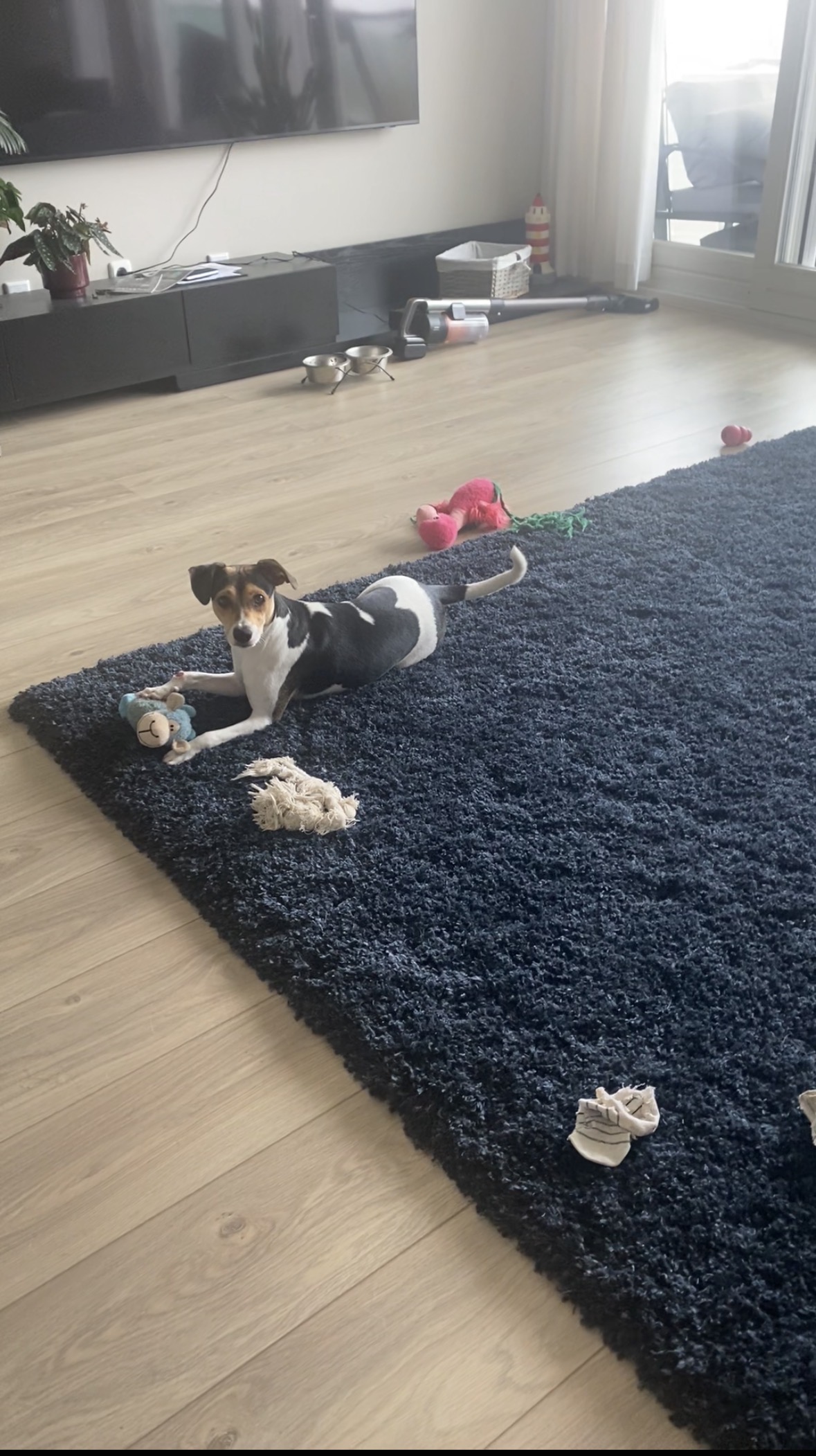 image-7